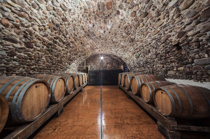 Tour and tasting of local young Wines in Valeggio - Photo 12