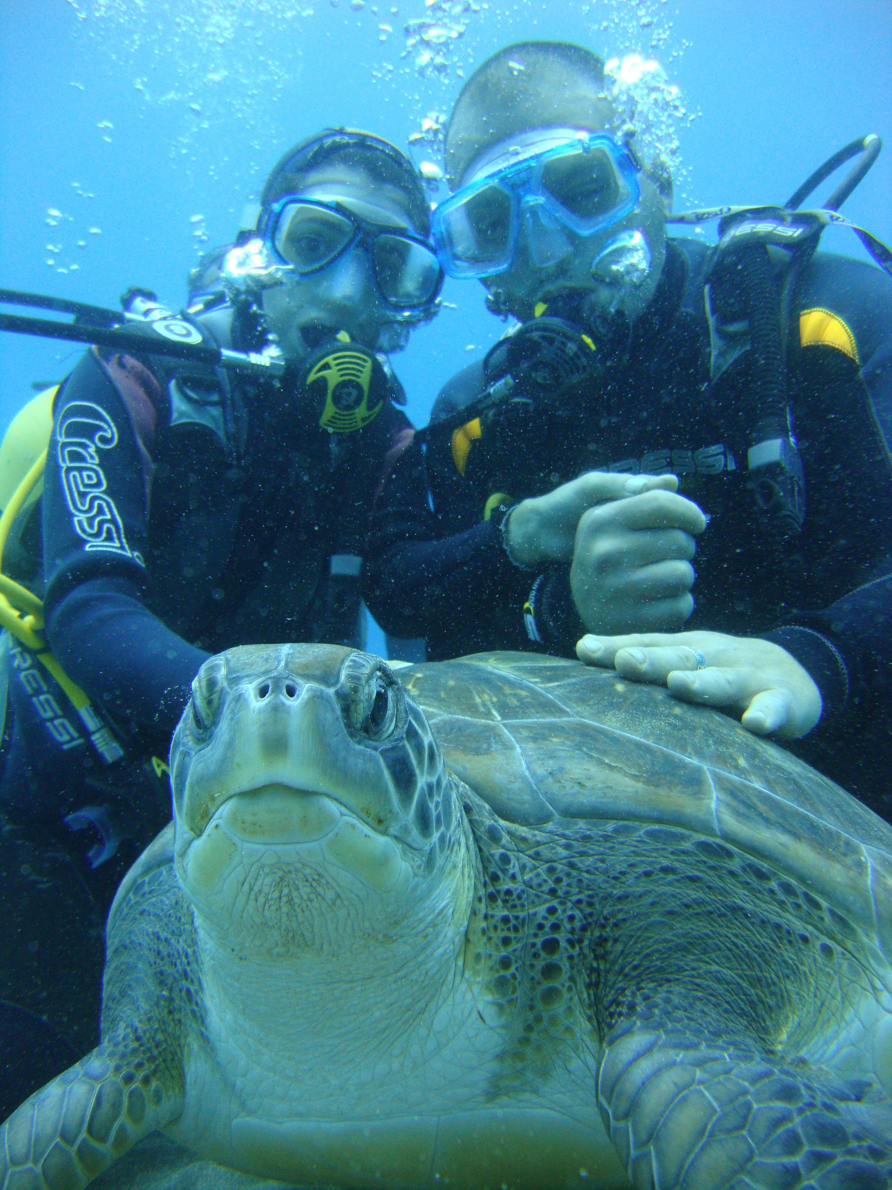 Descubre el buceo en Costa Adeje