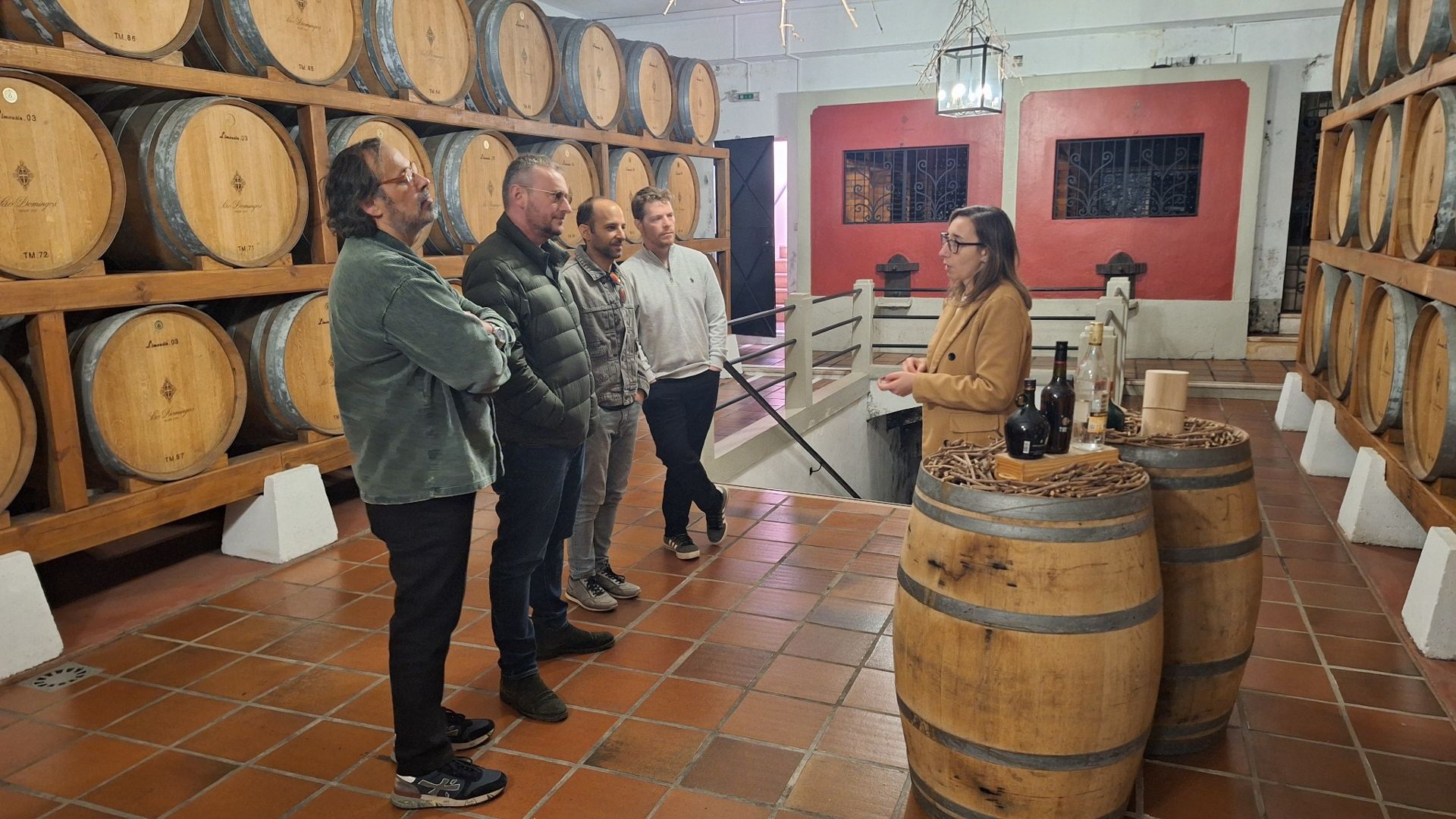 Private Bairrada Wine Tour from Porto with Two Historic Caves - Photo 9