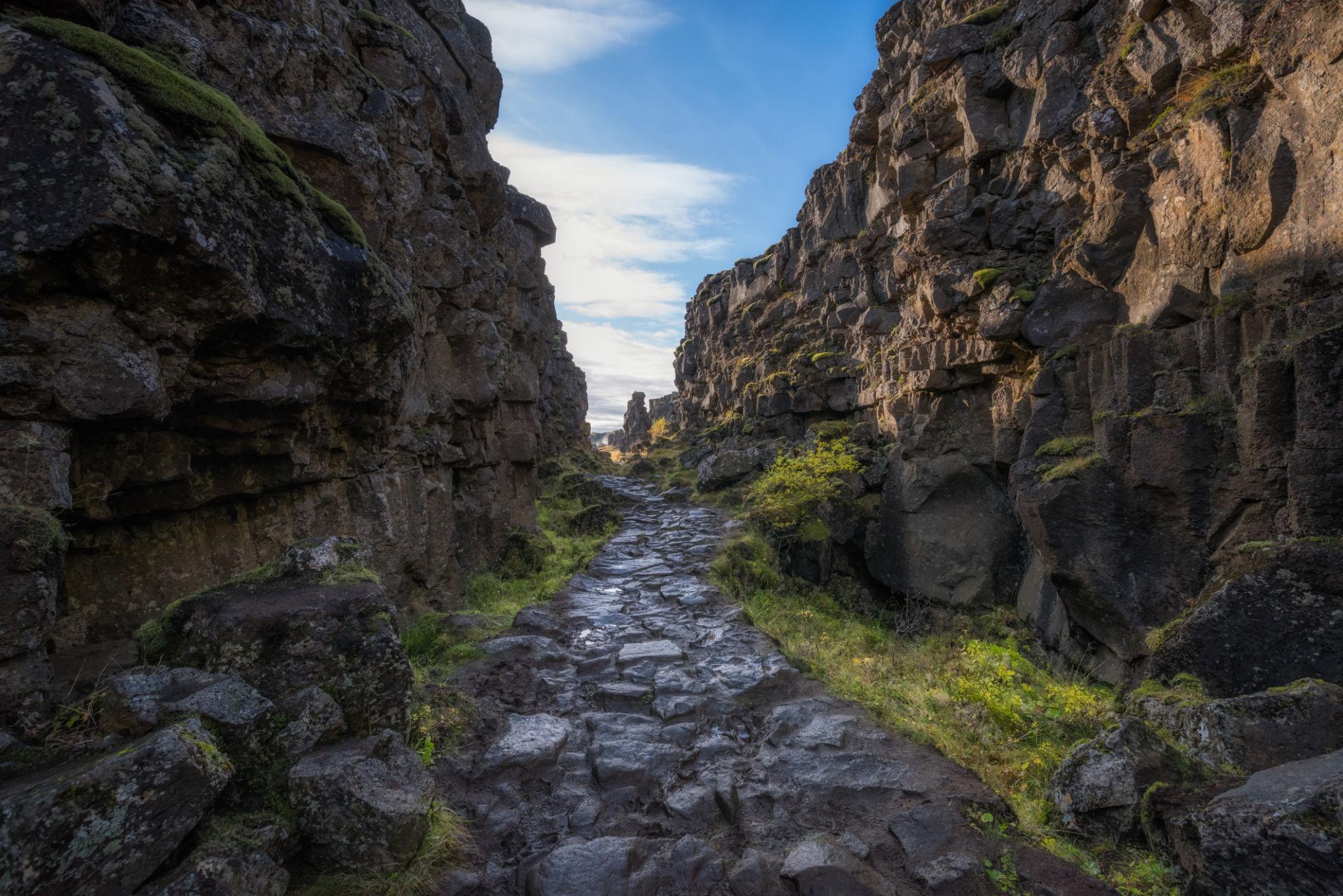 Golden Circle Private Tour & Fridheimar Farm Visit from Reykjavik - photo 16