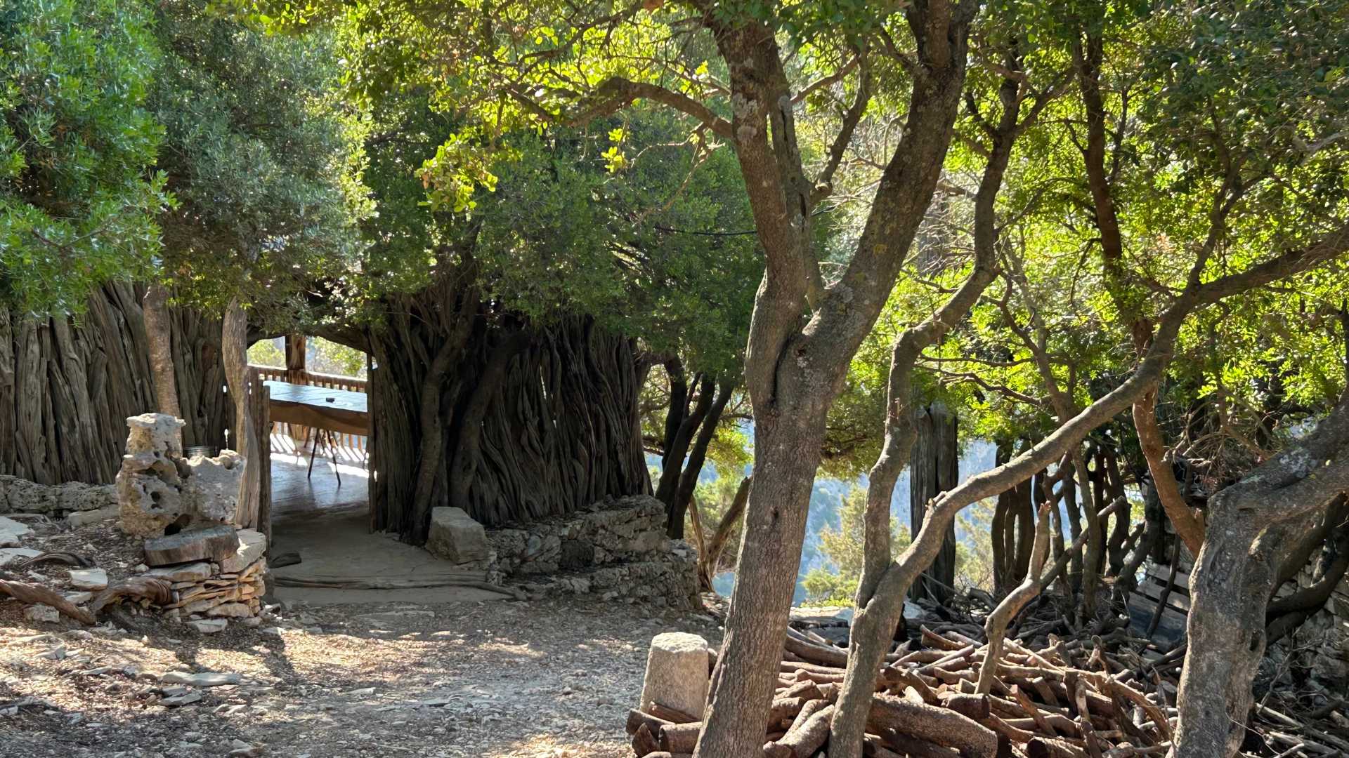 From Baunei: buggy tour to Punta Salinas - Photo 11