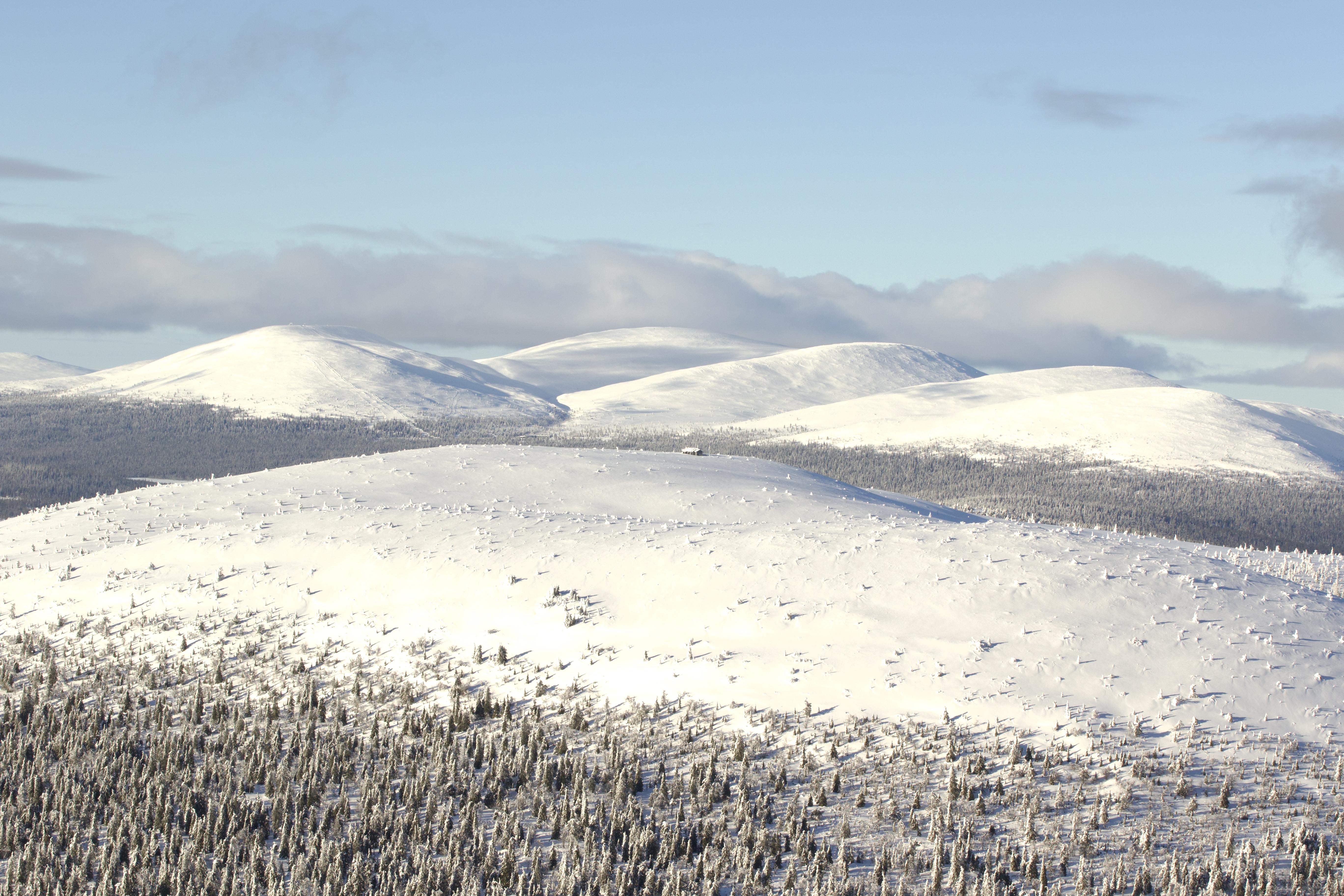 Private Ski Adventure in Pallas National Park