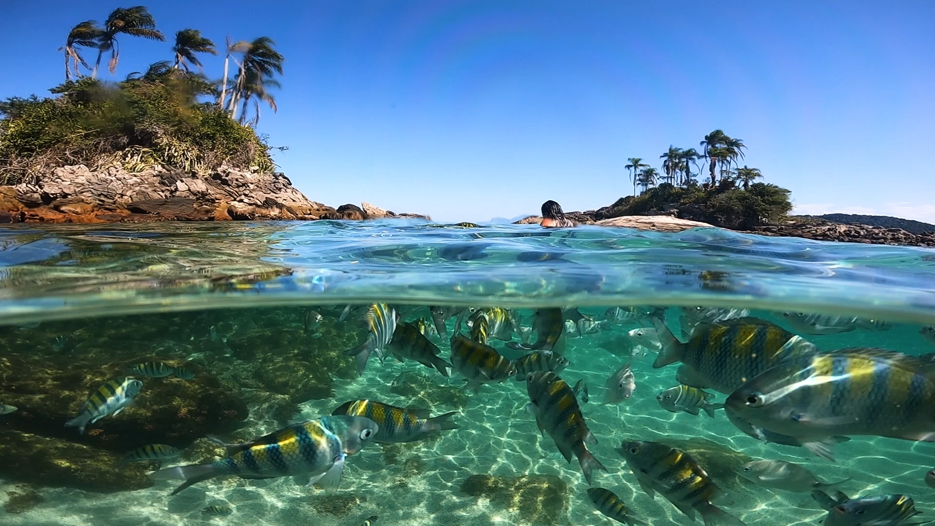 Angra dos Reis: tour en lancha motora por las islas Paraíso (GYG)