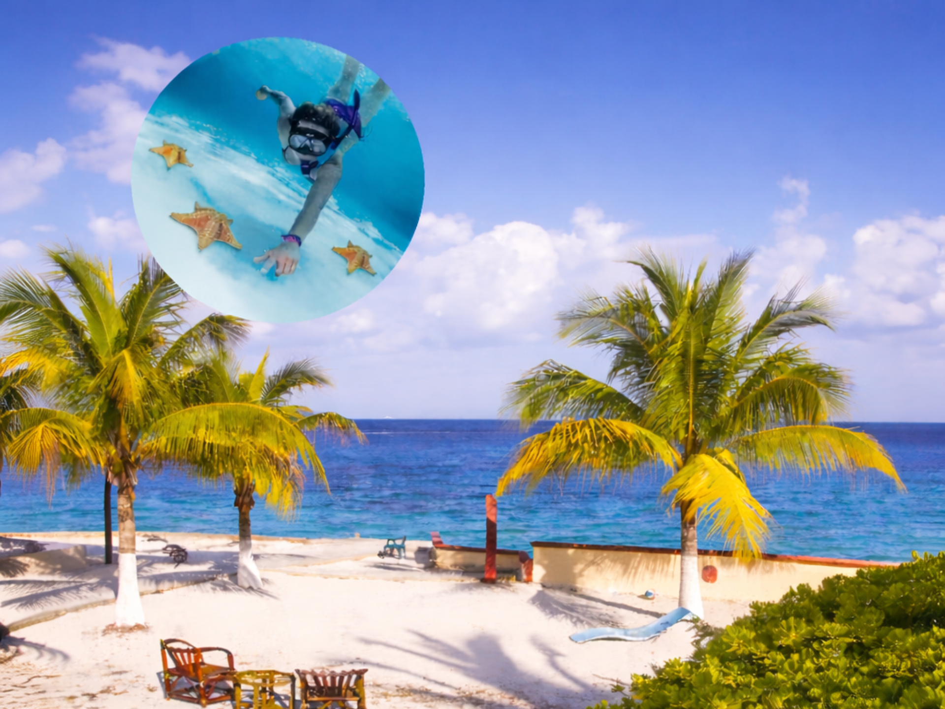 Excursión a Cozumel desde Cancún transporte incluido