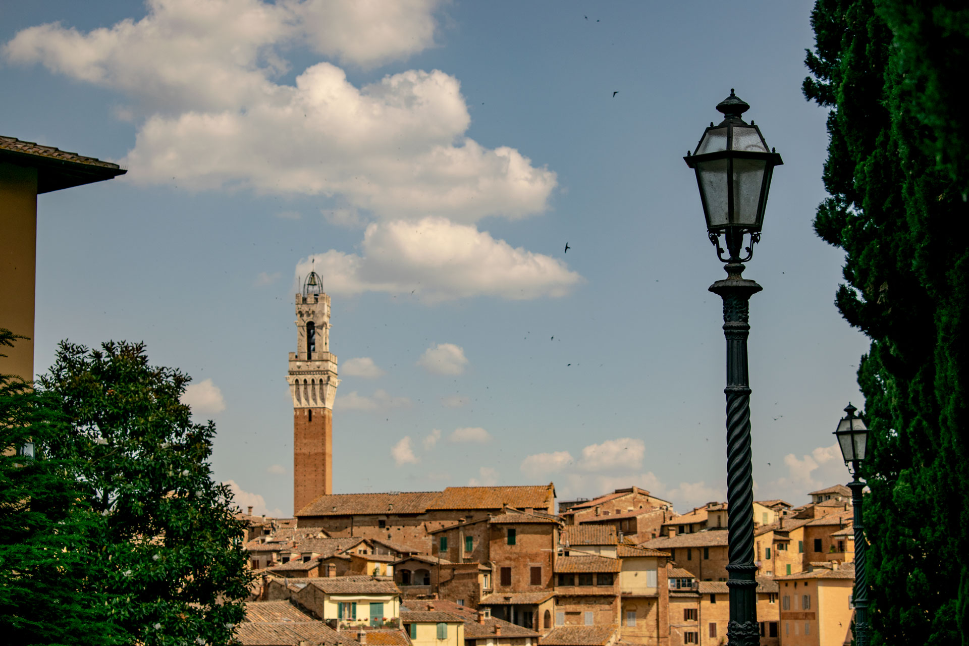 Siena & San Gimignano Tour from Florence: UNESCO Tuscany Day Trip - Photo 11