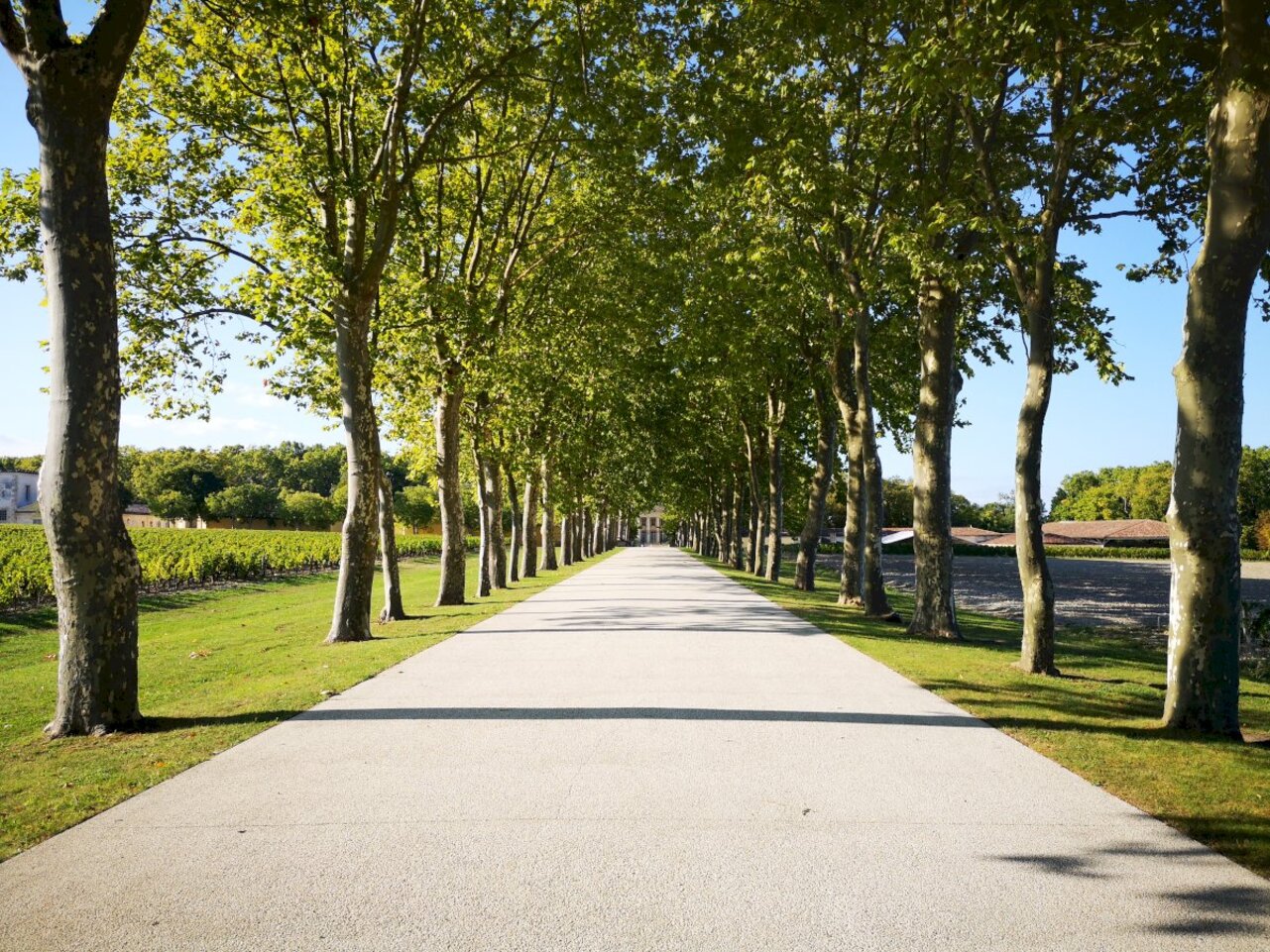 Bordeaux'dan: Le Verdon Kruvaziyer Limanı ile Medoc Şarap Turu