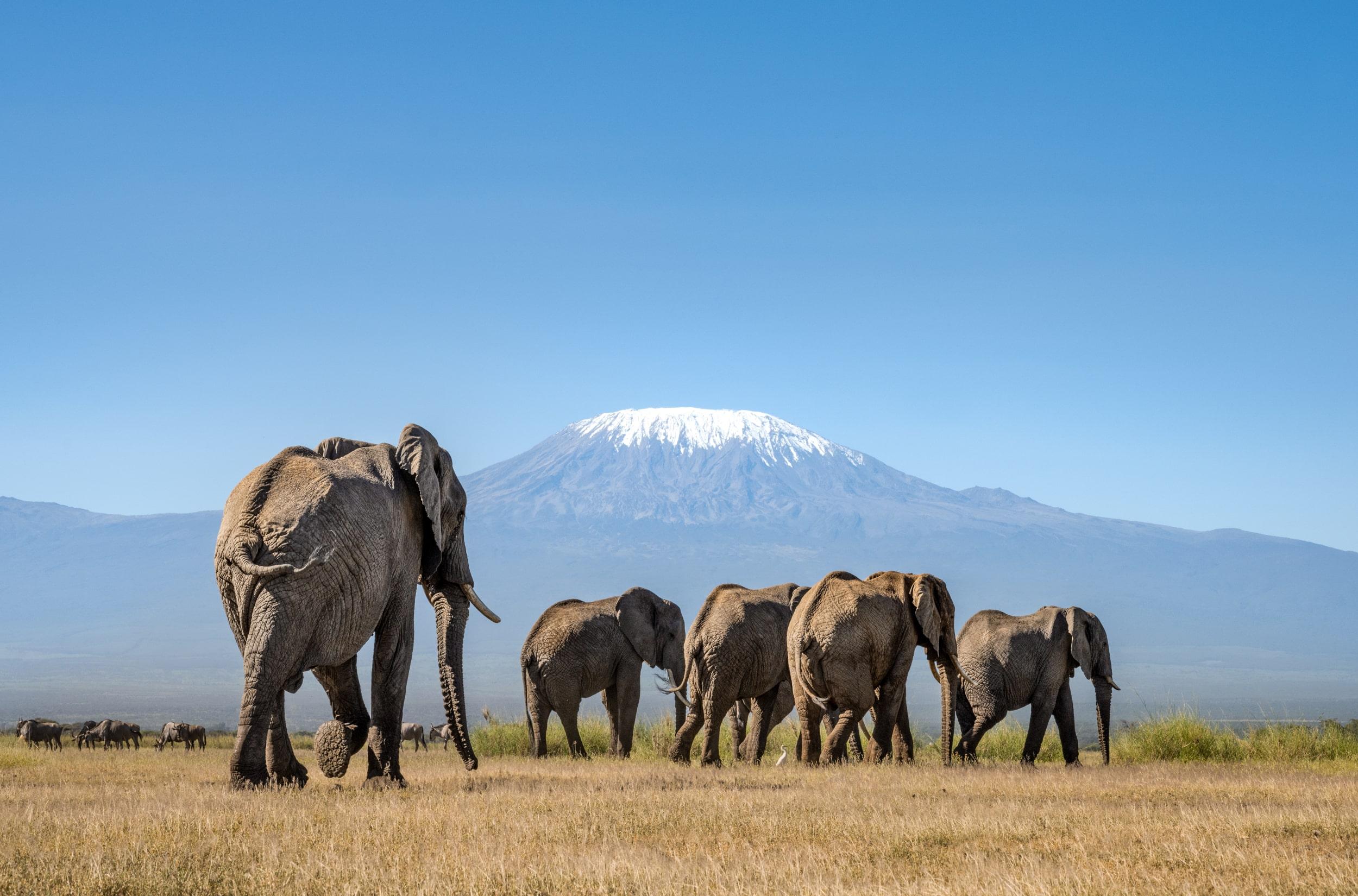 10-Day Kenya Safari Beyond Luxury – An Extraordinary Escape into the Wild – photo 5