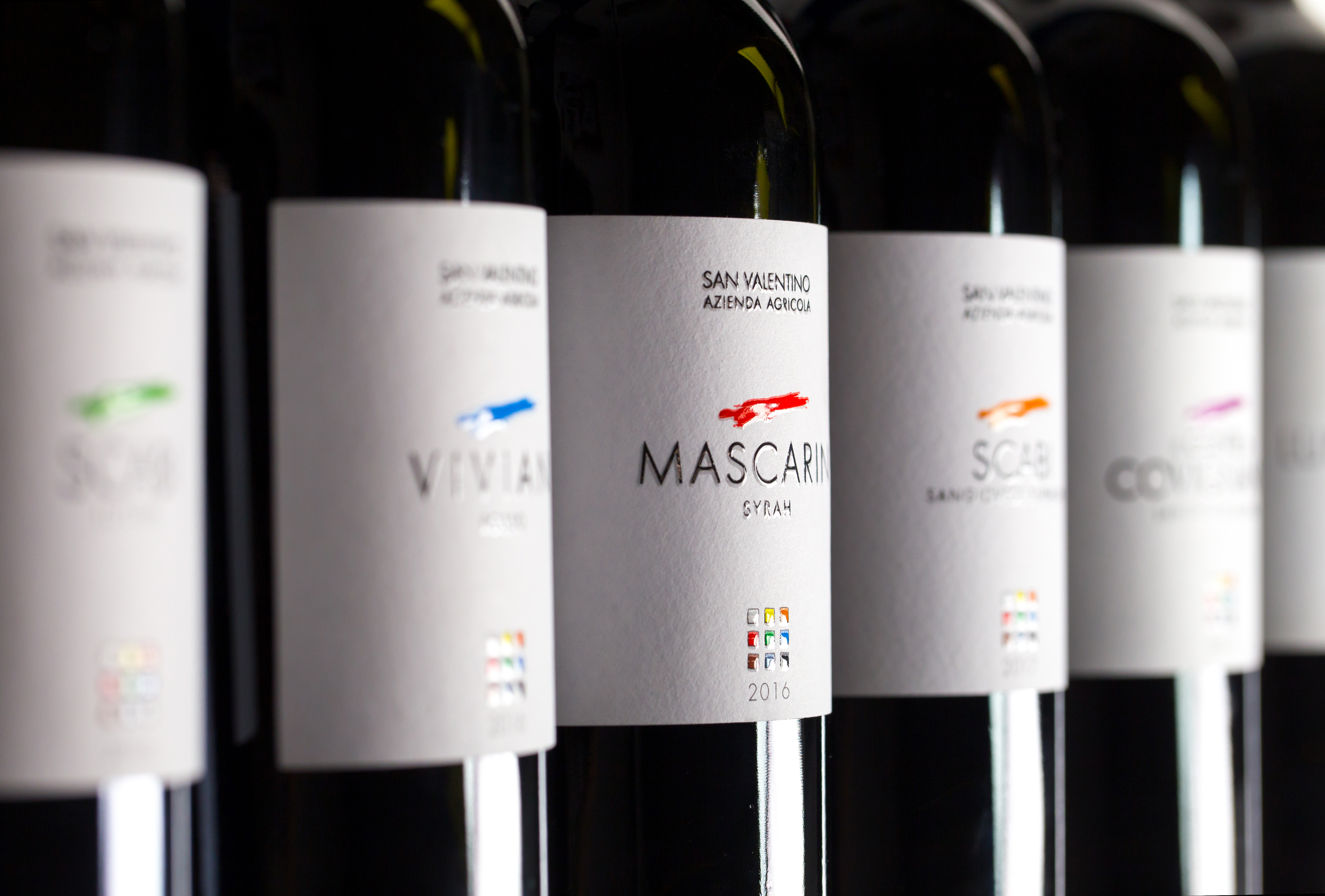 Rimini: Wine Experience – Guided Cellar & Vineyard Tour with 5 DOC Wines - Photo 4