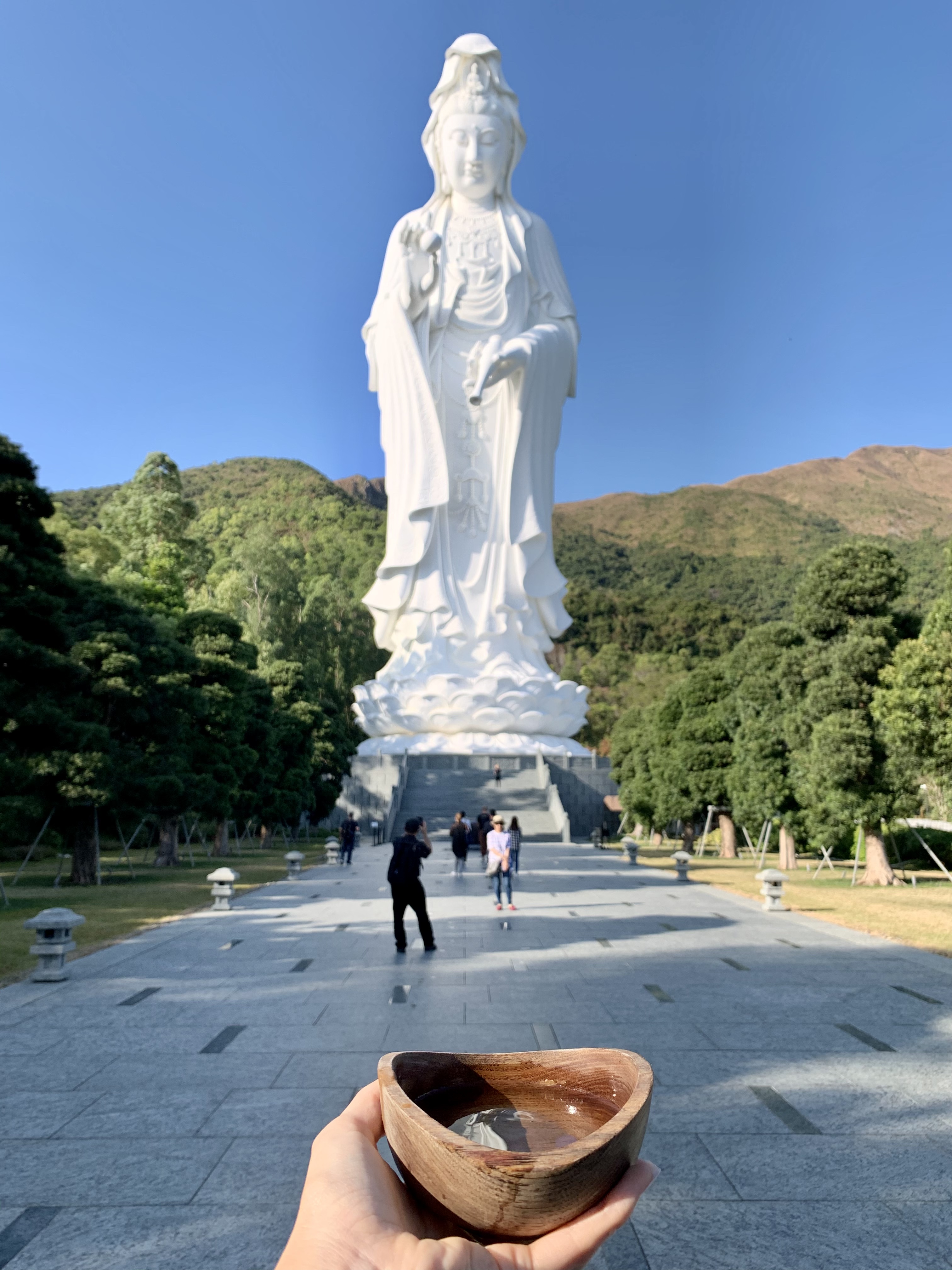 Guided Tour of the New Territories with Tsz Shan Monastery in Private Service - Accommodations in Hong Kong