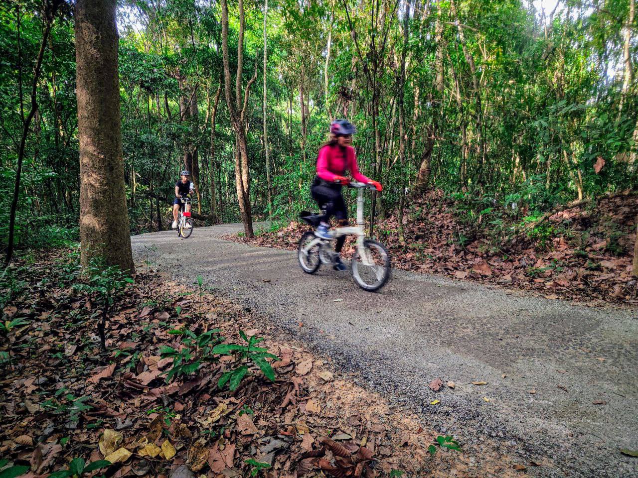 Angkor Jungle Biking Adventure Private Cycling Tour