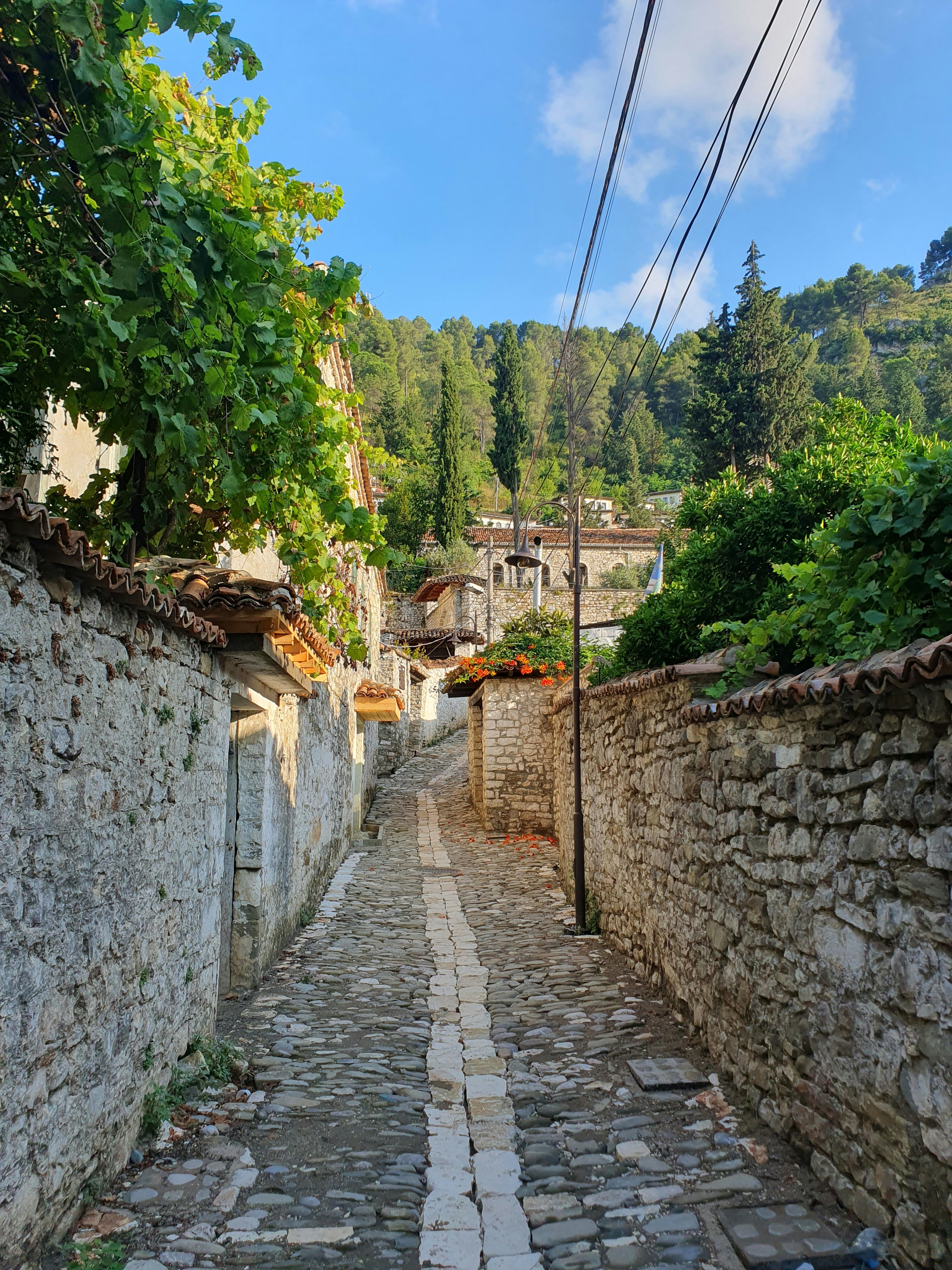  Berat full-day guided tour from Tirana - Photo 11