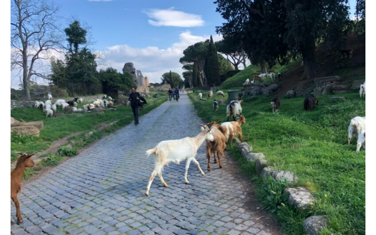 Rome E-Bike Small Group Tour of the Appian Way - Photo 15