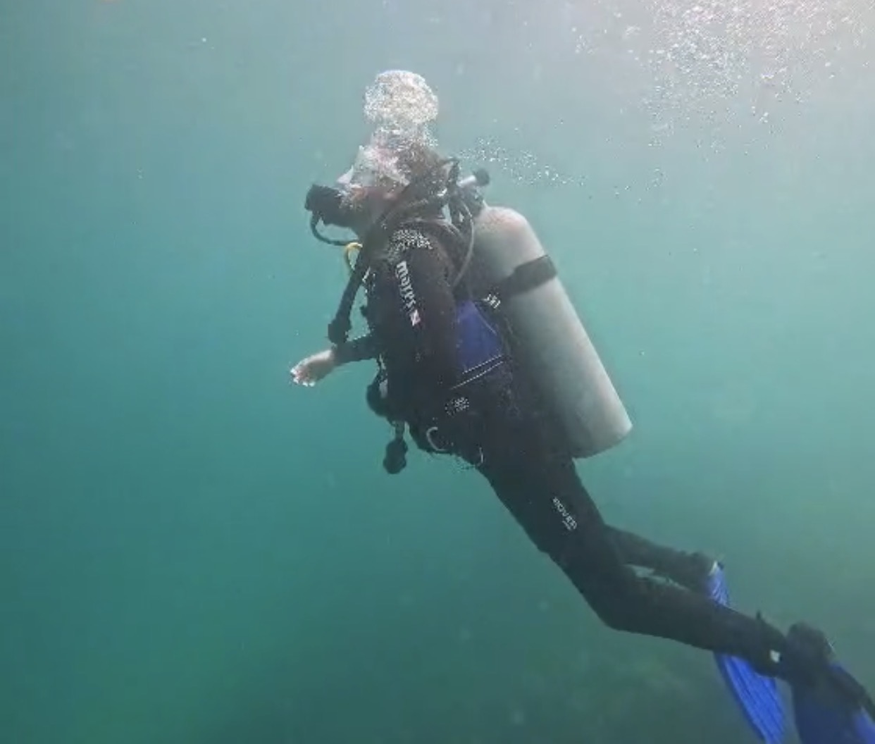 Experiencia de buceo en las Islas Tijucas