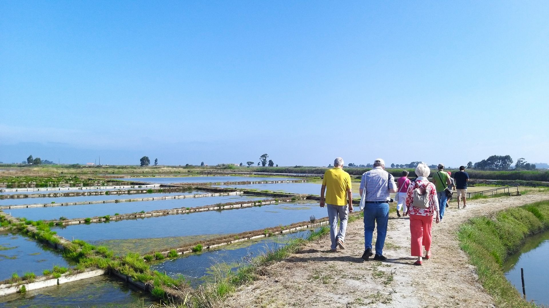 Private Aveiro & Costa Nova Tour from Porto with Ria and Atlantic Villages - Photo 15