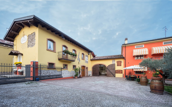 Tour and tasting of 5 Garda wines and olive oil in Valeggio - Photo 6