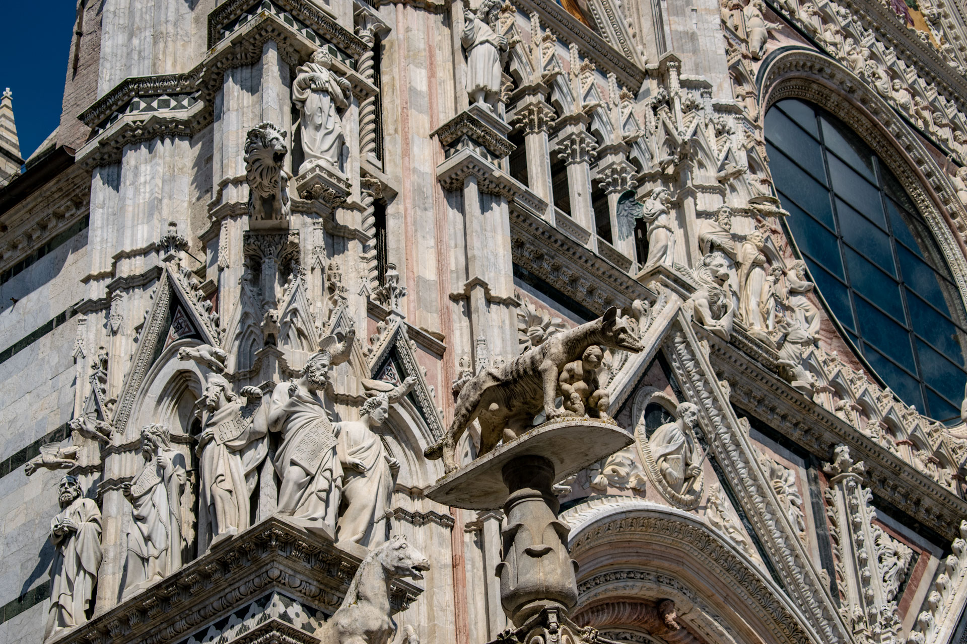 Siena & San Gimignano Tour from Florence: UNESCO Tuscany Day Trip - Photo 25
