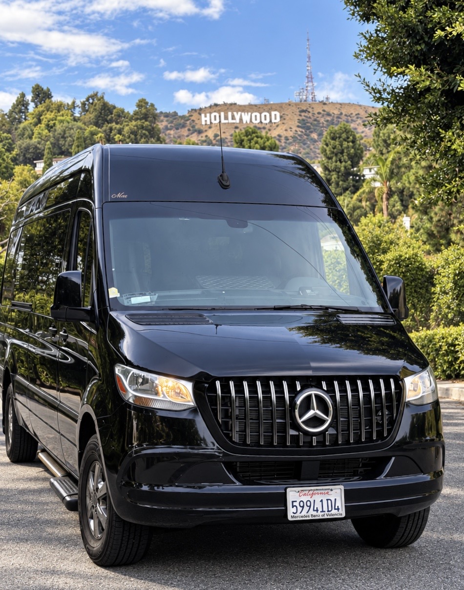 City Tour of Los Angeles, Hollywood and Beverly Hills with pickup in Hollywood – photo 2