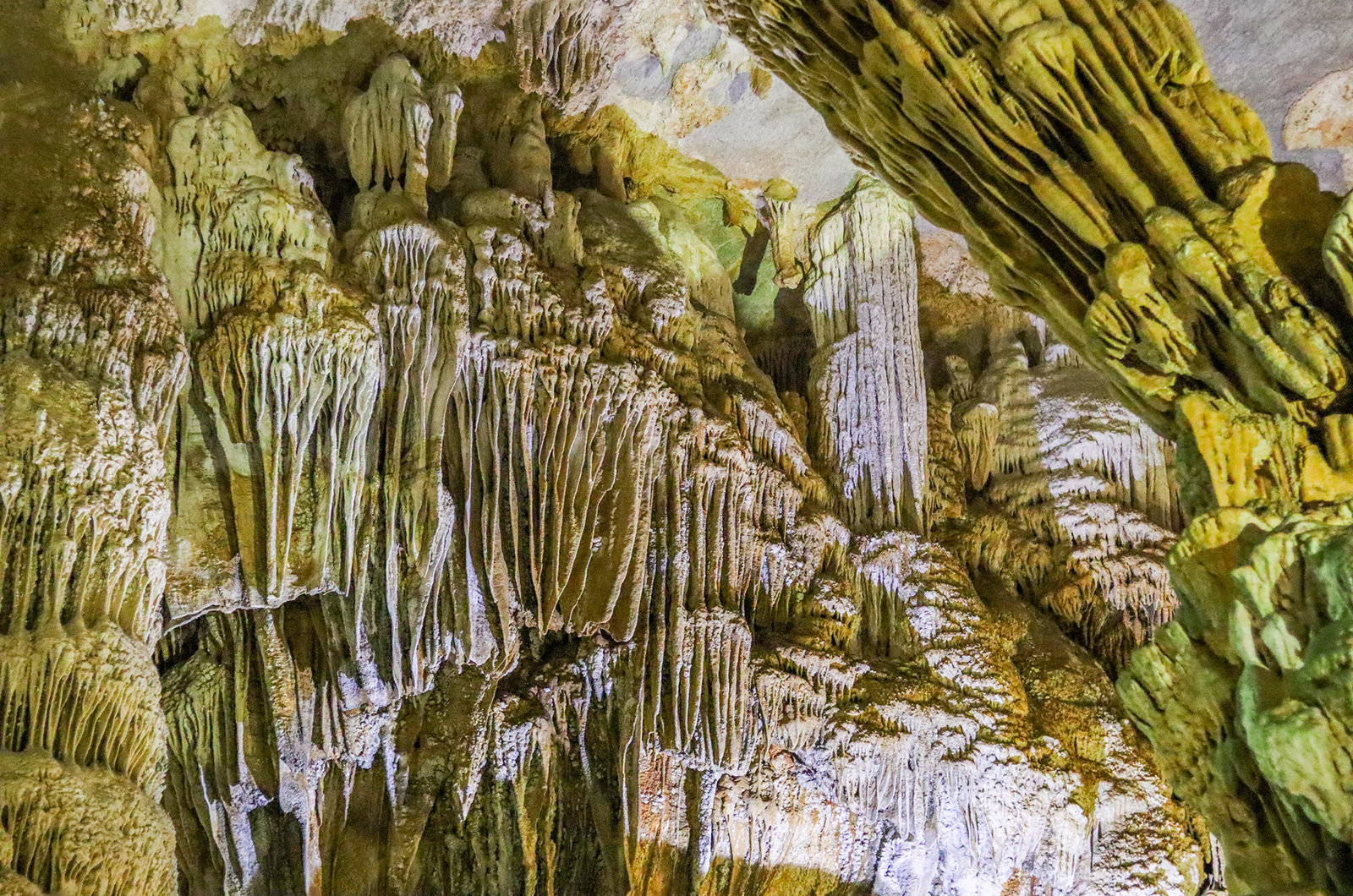 Visita guiada a la cueva Phong Nha y al manantial Mooc desde Dong Hoi - Foto 5