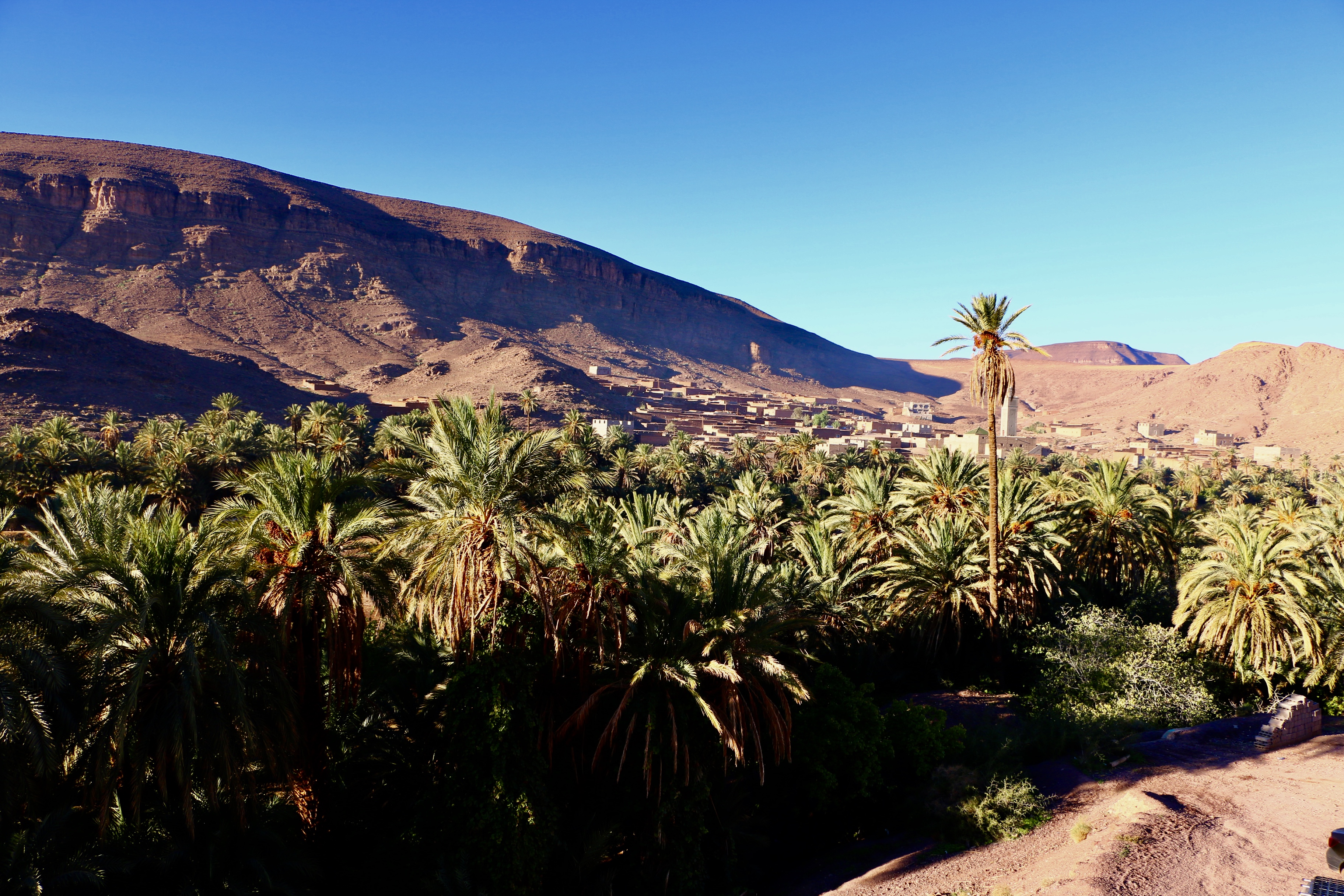 Tour privado de día completo por Ouarzazate y Oasis Fint