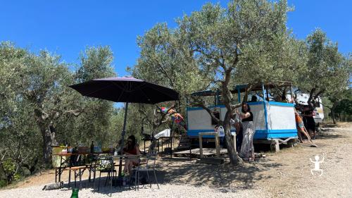 Salerno: rafting on the Sele River in Cilento - Photo 2