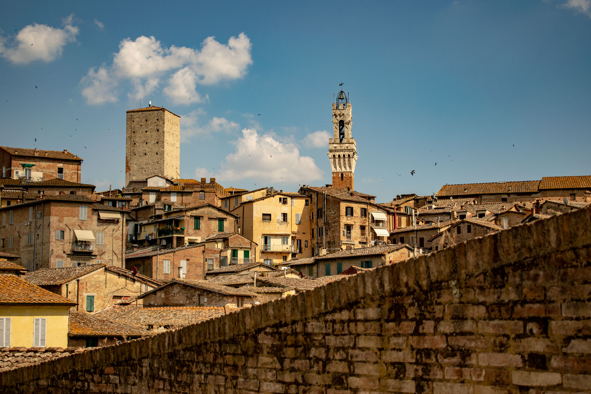Siena & San Gimignano Tour from Florence: UNESCO Tuscany Day Trip - Photo 10