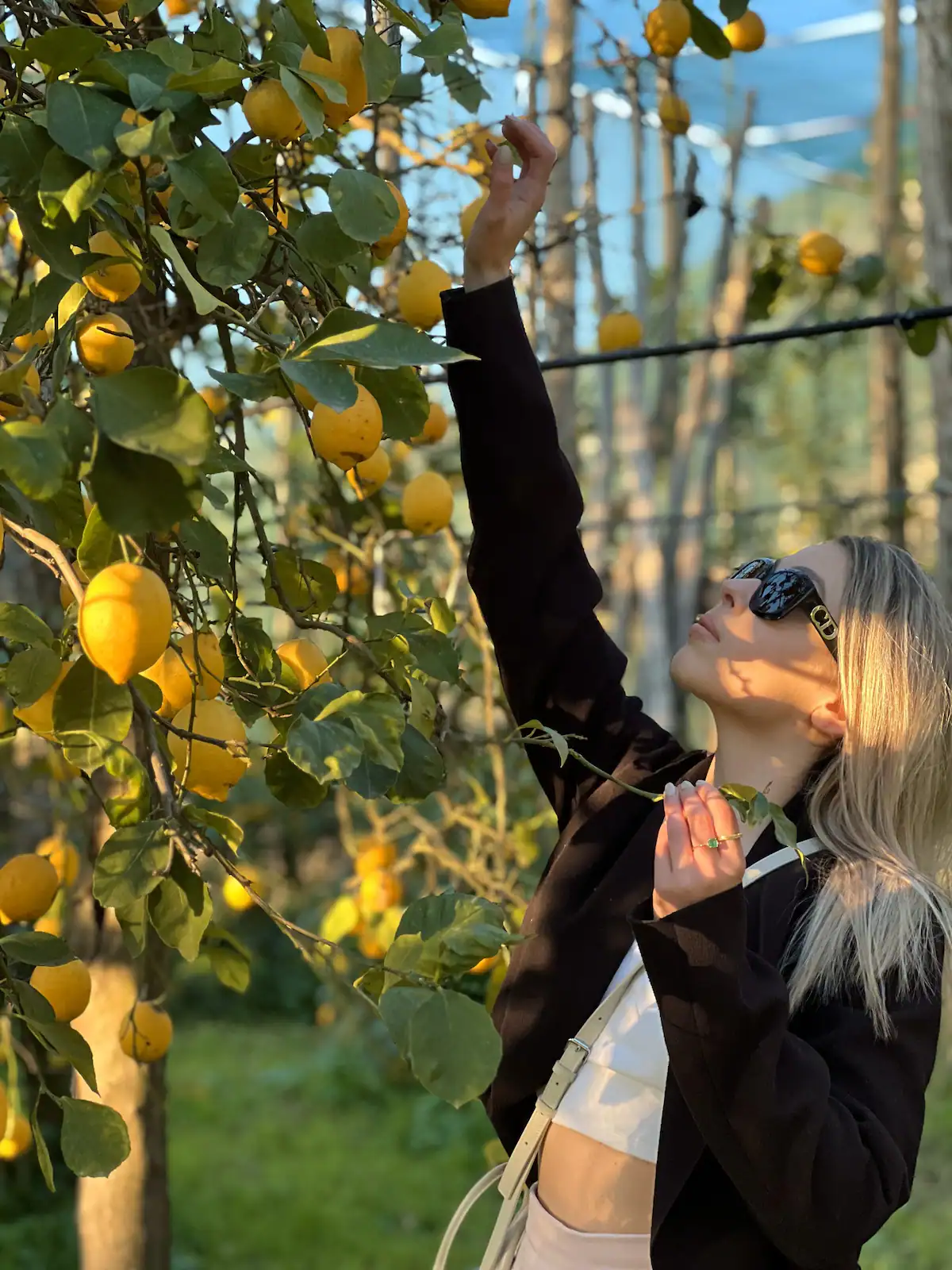 Sorrento: Authentic Lemon Experience at a Local Farmhouse - Photo 9