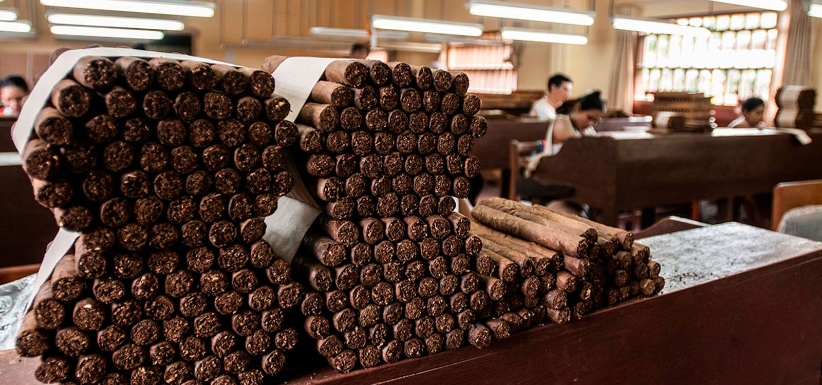 Tar-01: Los tesoros escondidos de Tarapoto - Tours por la ciudad, el chocolate y los animales - Foto 3