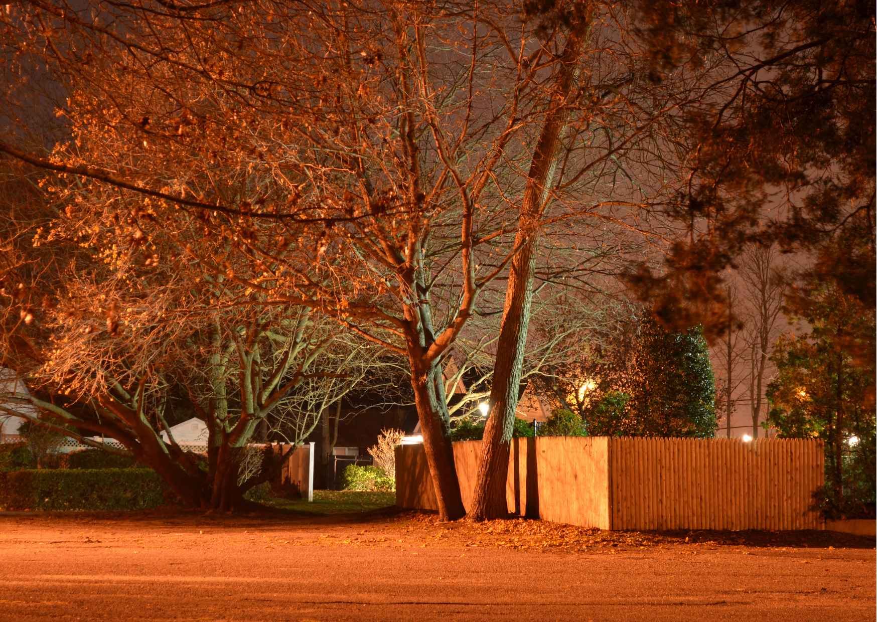 Chandigarh Nightlife Tour with shopping and food tasting - Photo 8