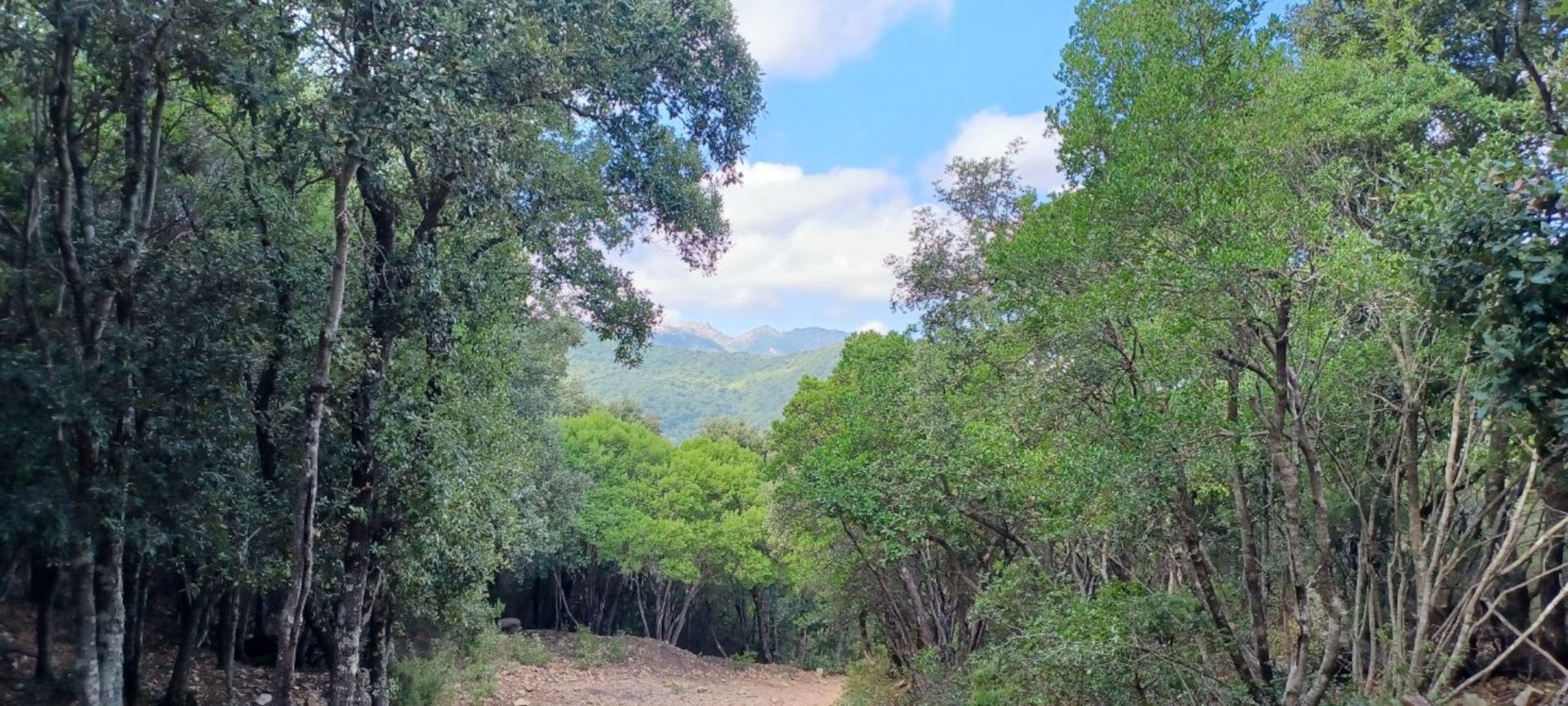 Castiadas: trekking in the S'Acqua Callenti forest - Photo 23