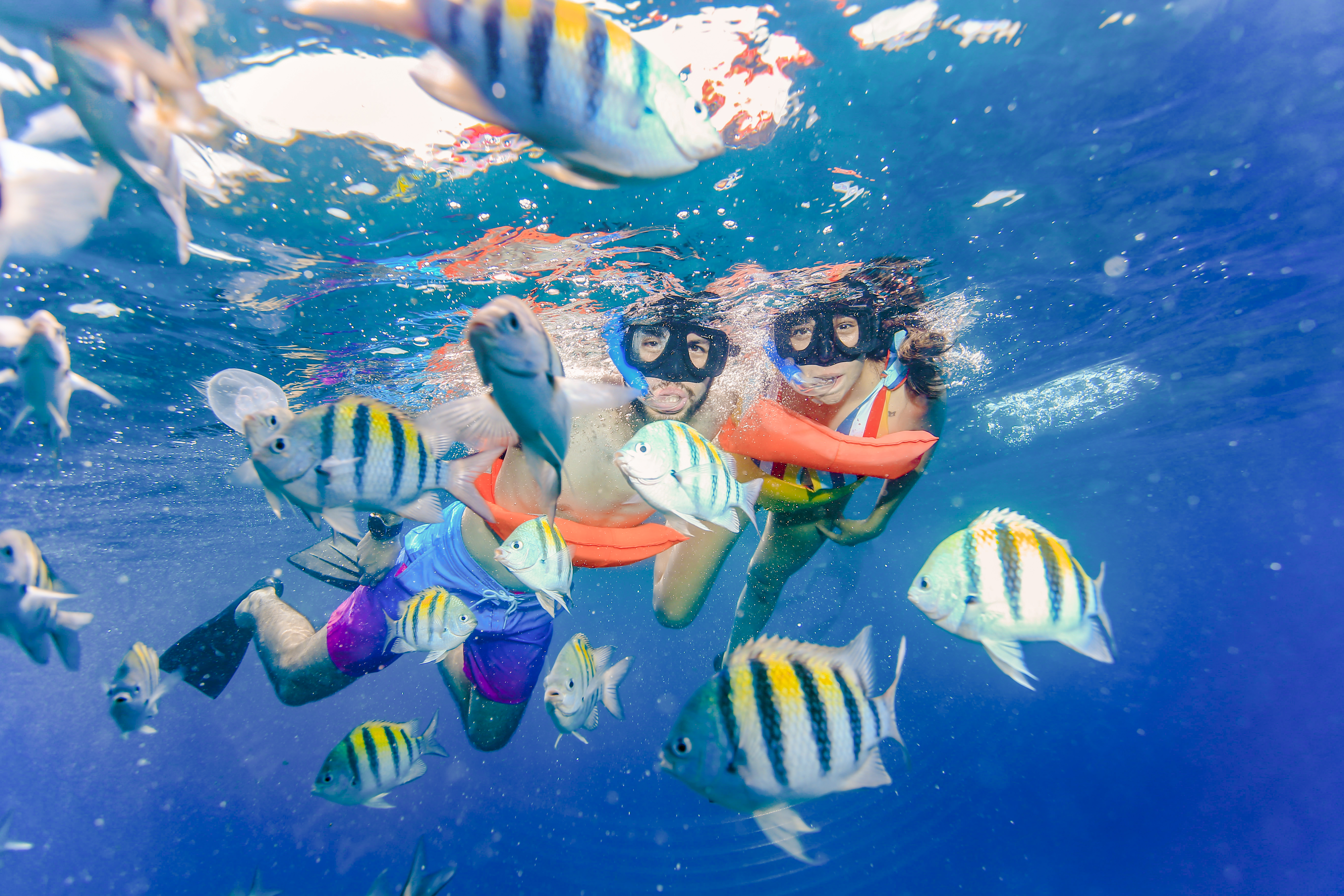 Full Experience Isla Mujeres - Accommodations in Cancún