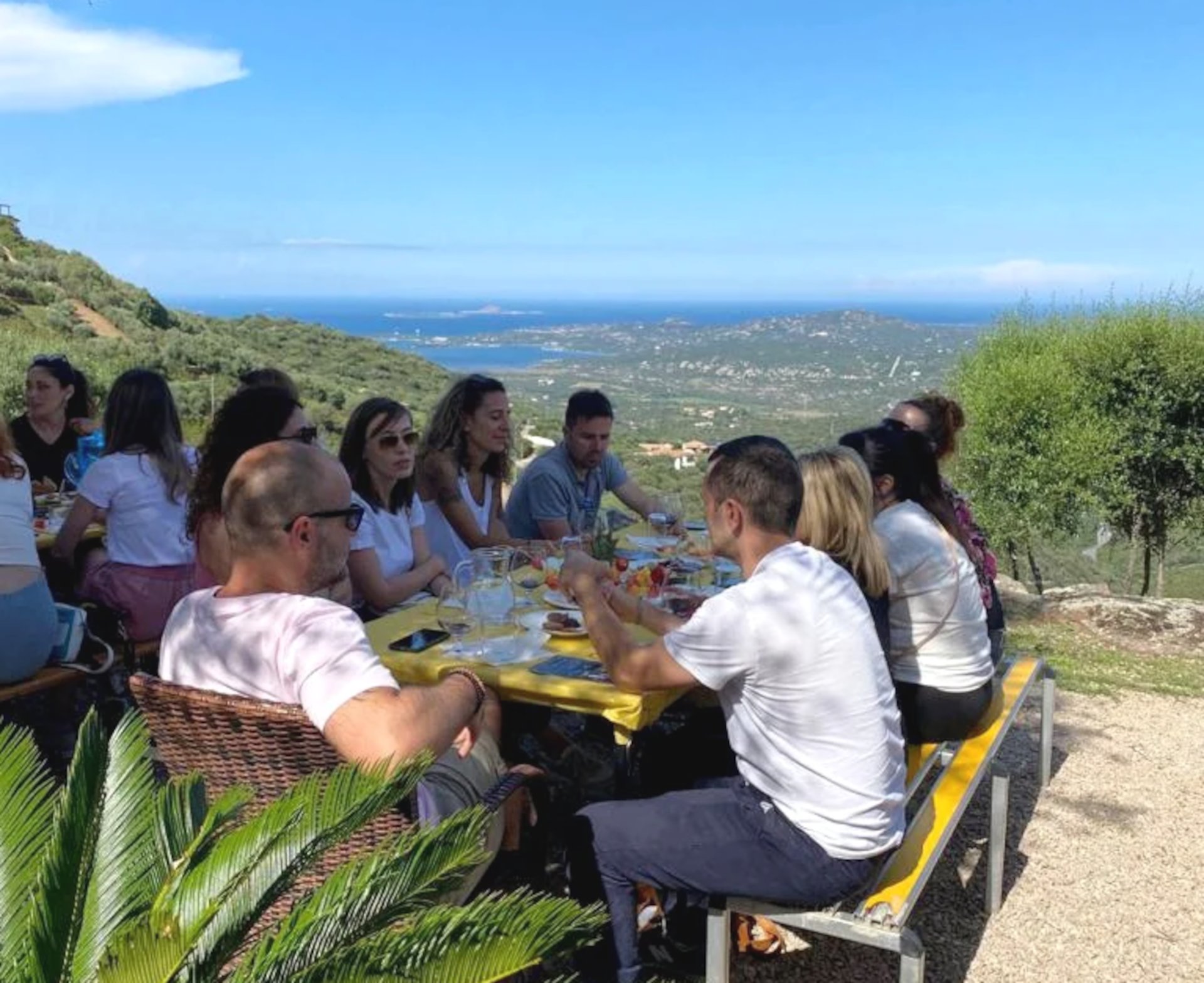 Olbia: visit a myrtle-making factory with tasting - Photo 9
