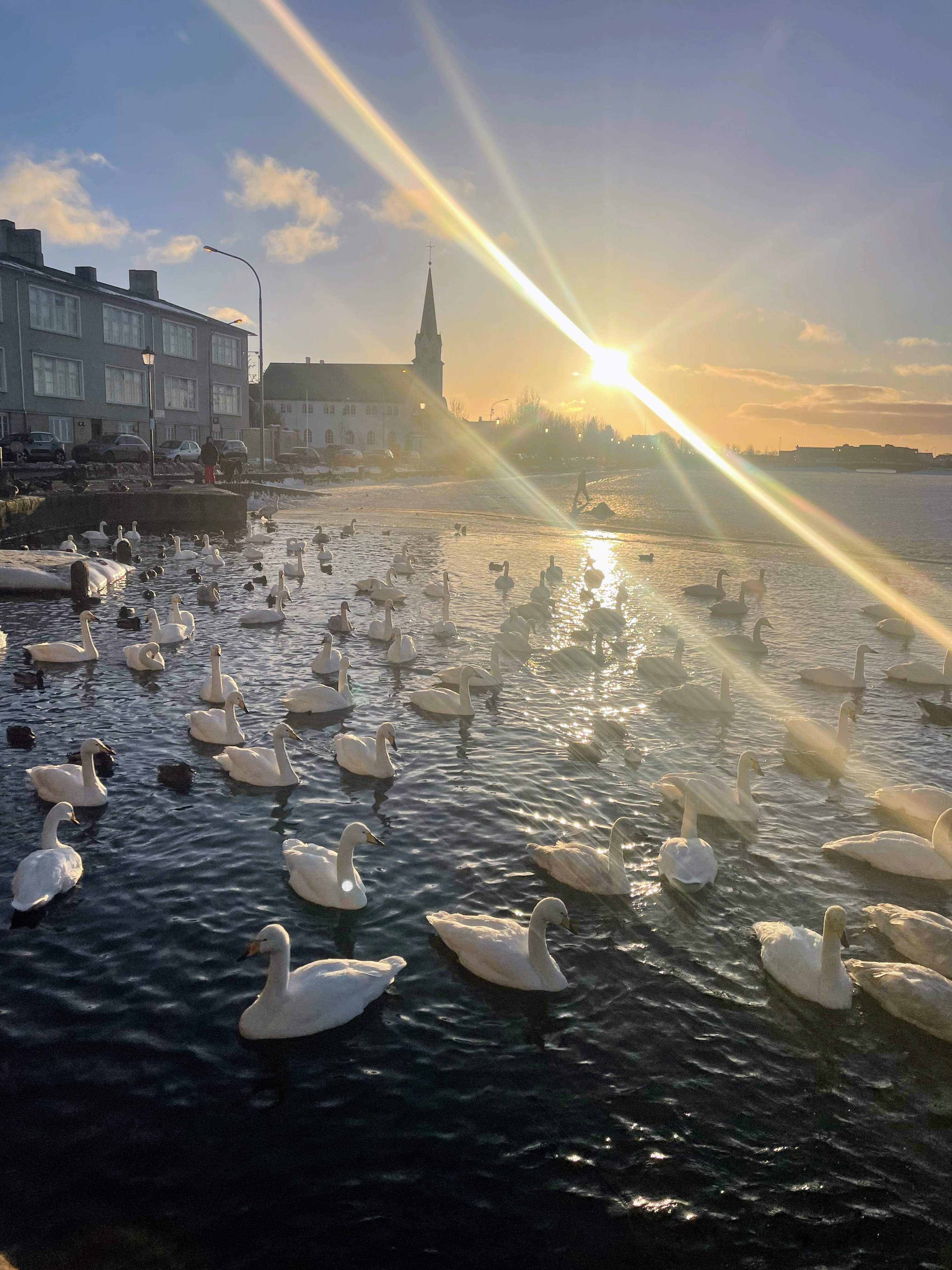Street Food Walk Reykjavik - photo 11