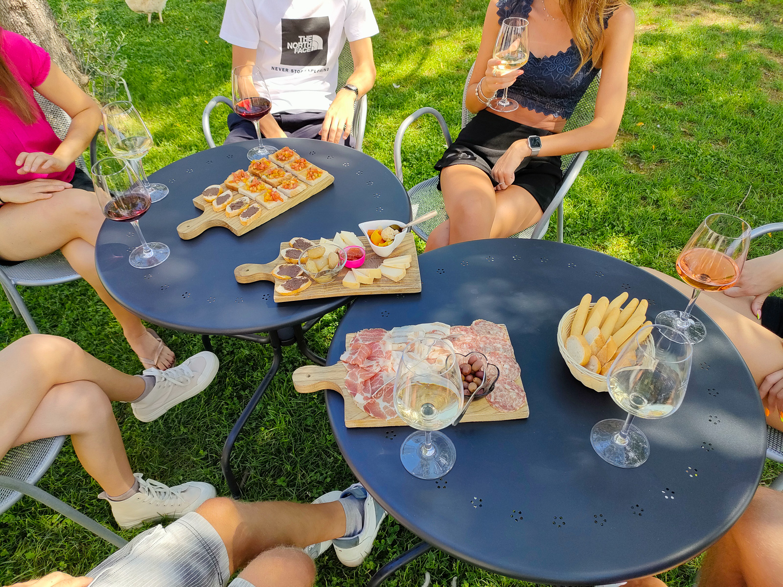 Wine Tasting with local food in Lazise countryside - Photo 9