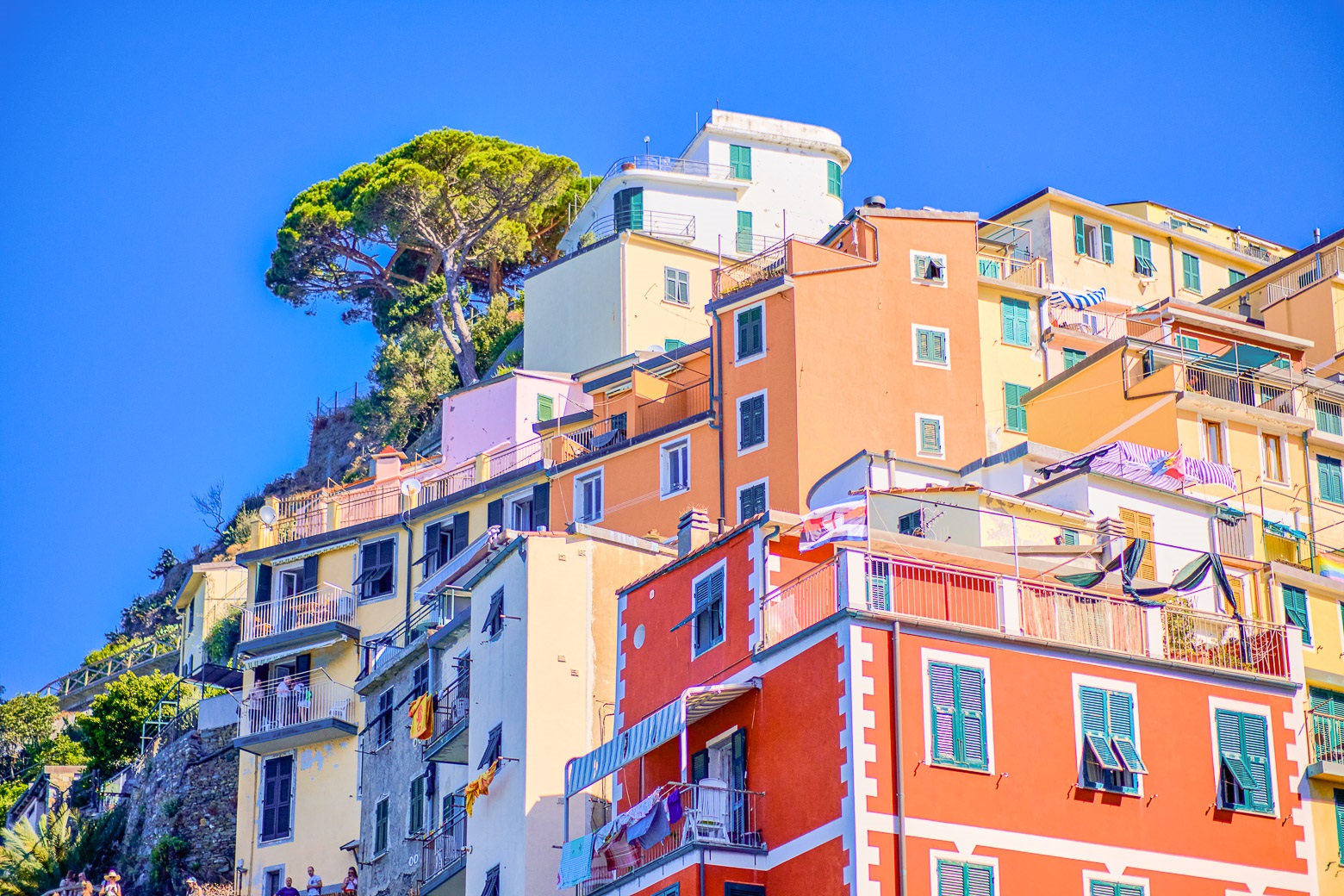 Full-Day Small-Group Cinque Terre Tour from Florence - Photo 24