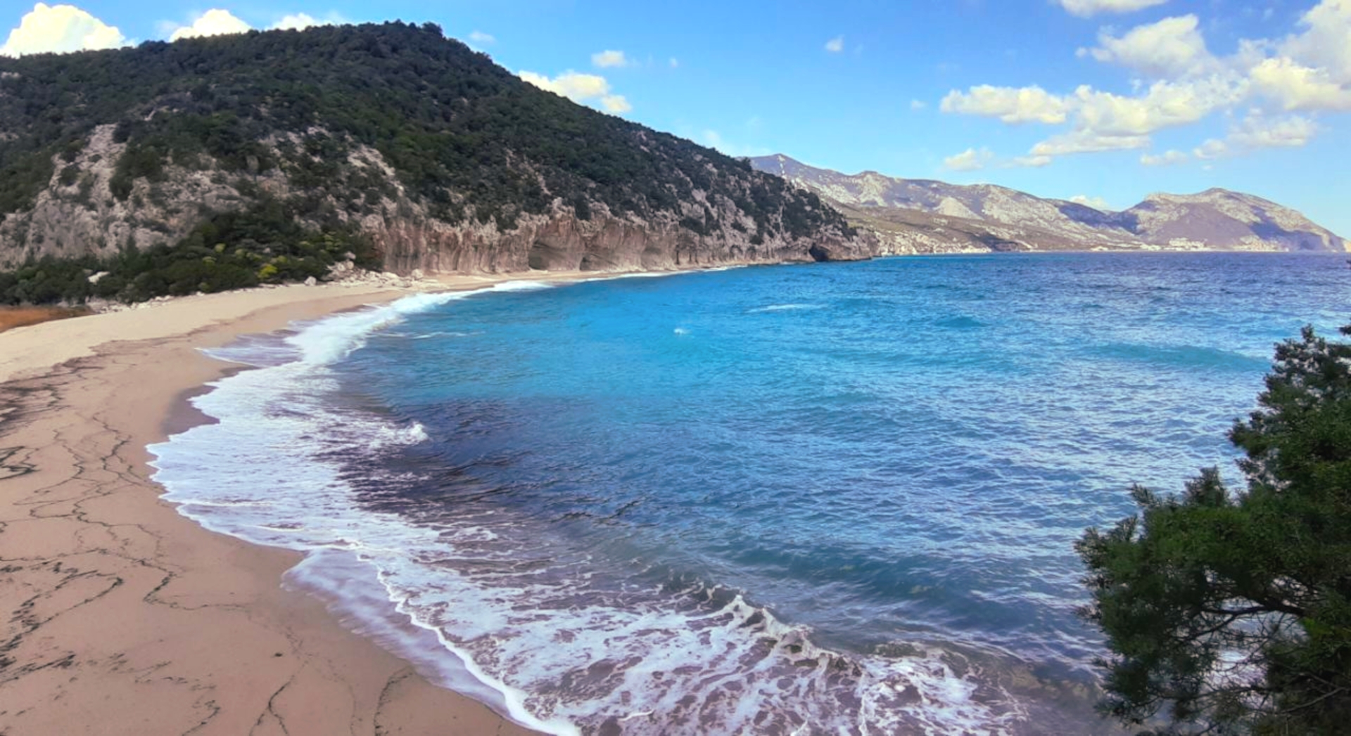 From Dorgali: trekking to Cala Luna - Photo 5