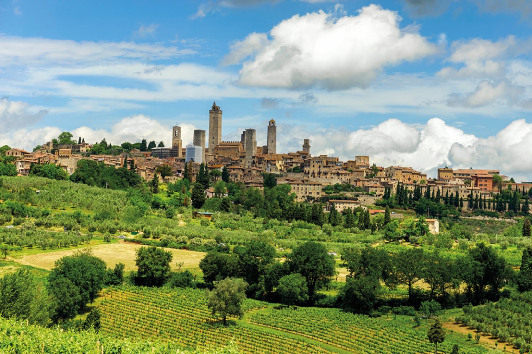 Full day E-bike rental in San Gimignano - Photo 5