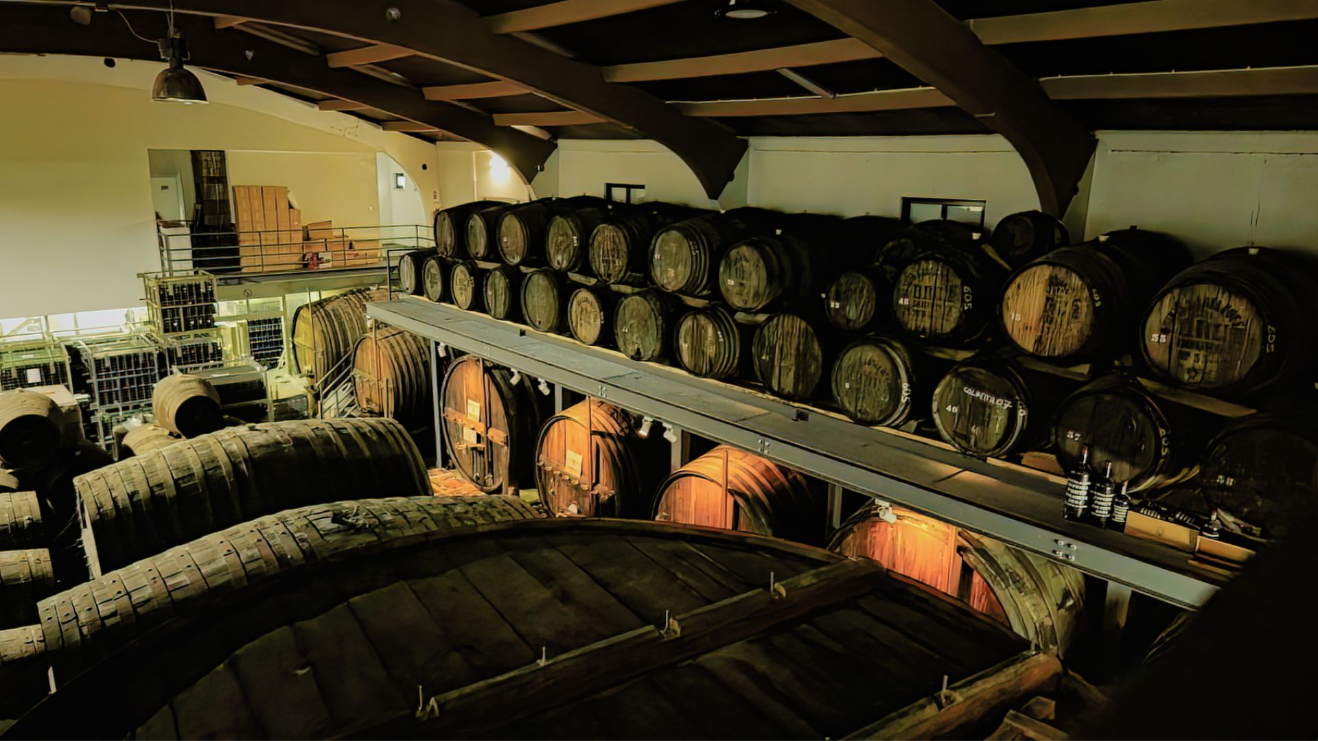 Douro Valley Small Group Tour with Wine Tastings, Lunch and River Cruise  - Photo 24