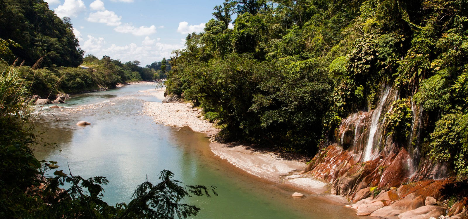 Tar-09: Maravilla de la Vida Silvestre - Reserva Alto Mayo de Tarapoto