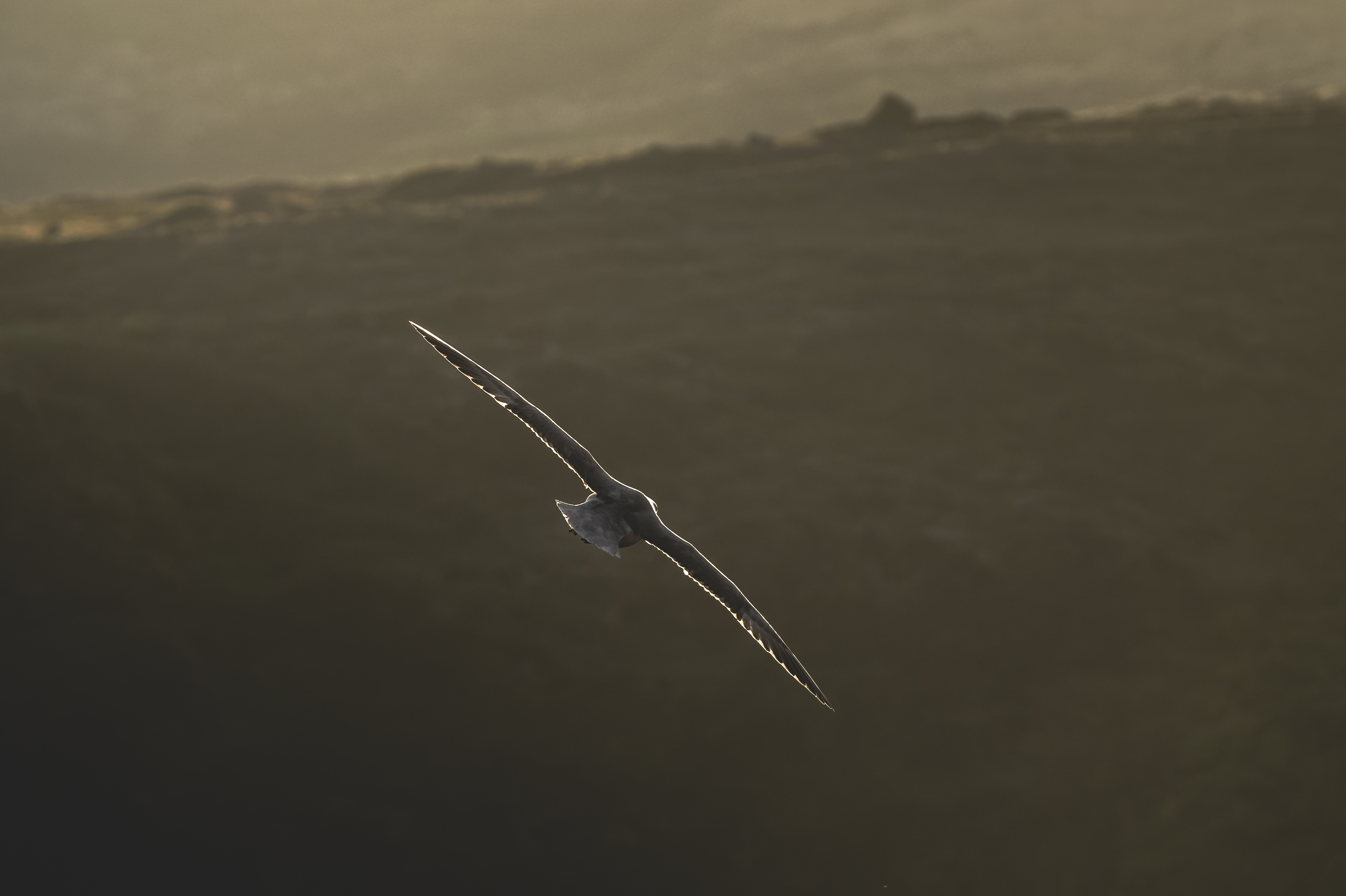 Private Hiking Tour to Glymur Waterfall: Minivan Transfer - photo 26