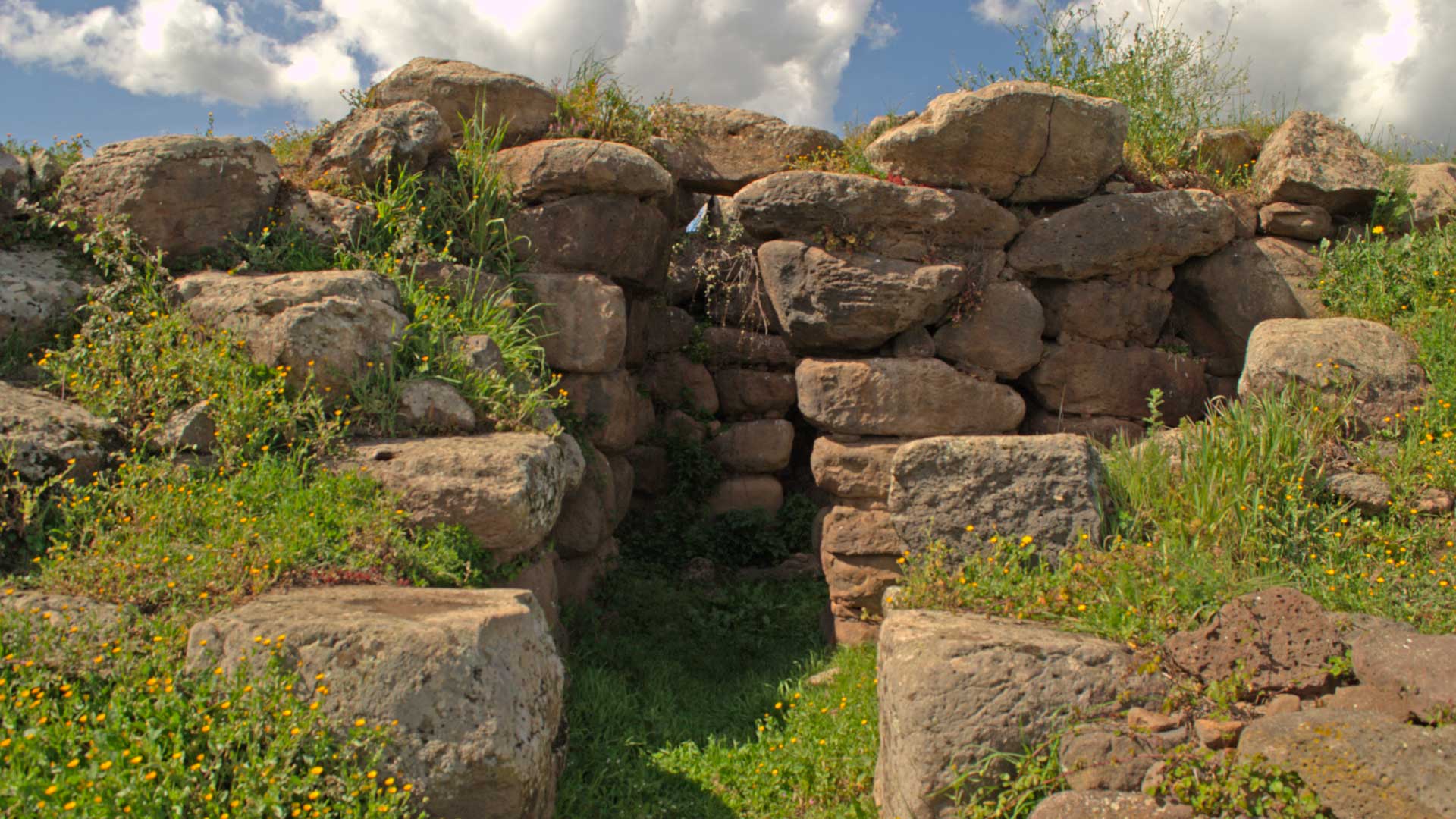 Borore: archaeological tour with tasting - Photo 3