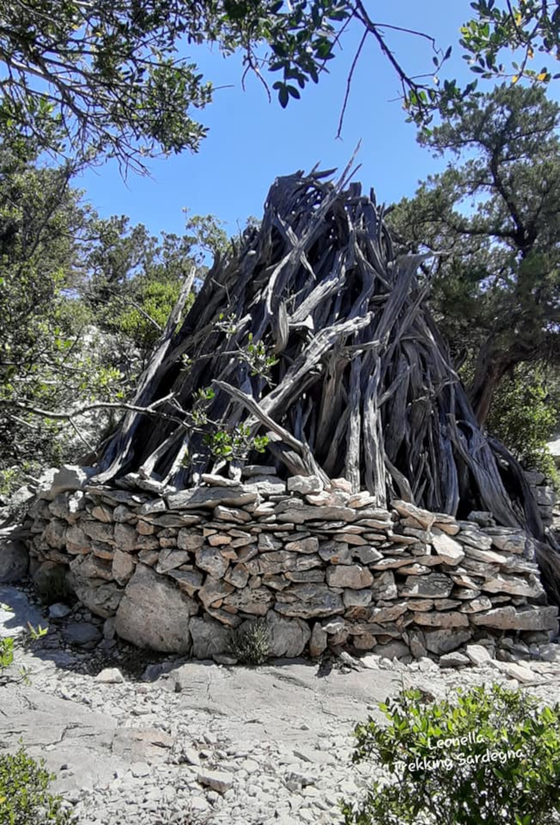 From Baunei: trekking in Cala Goloritzè - Photo 8