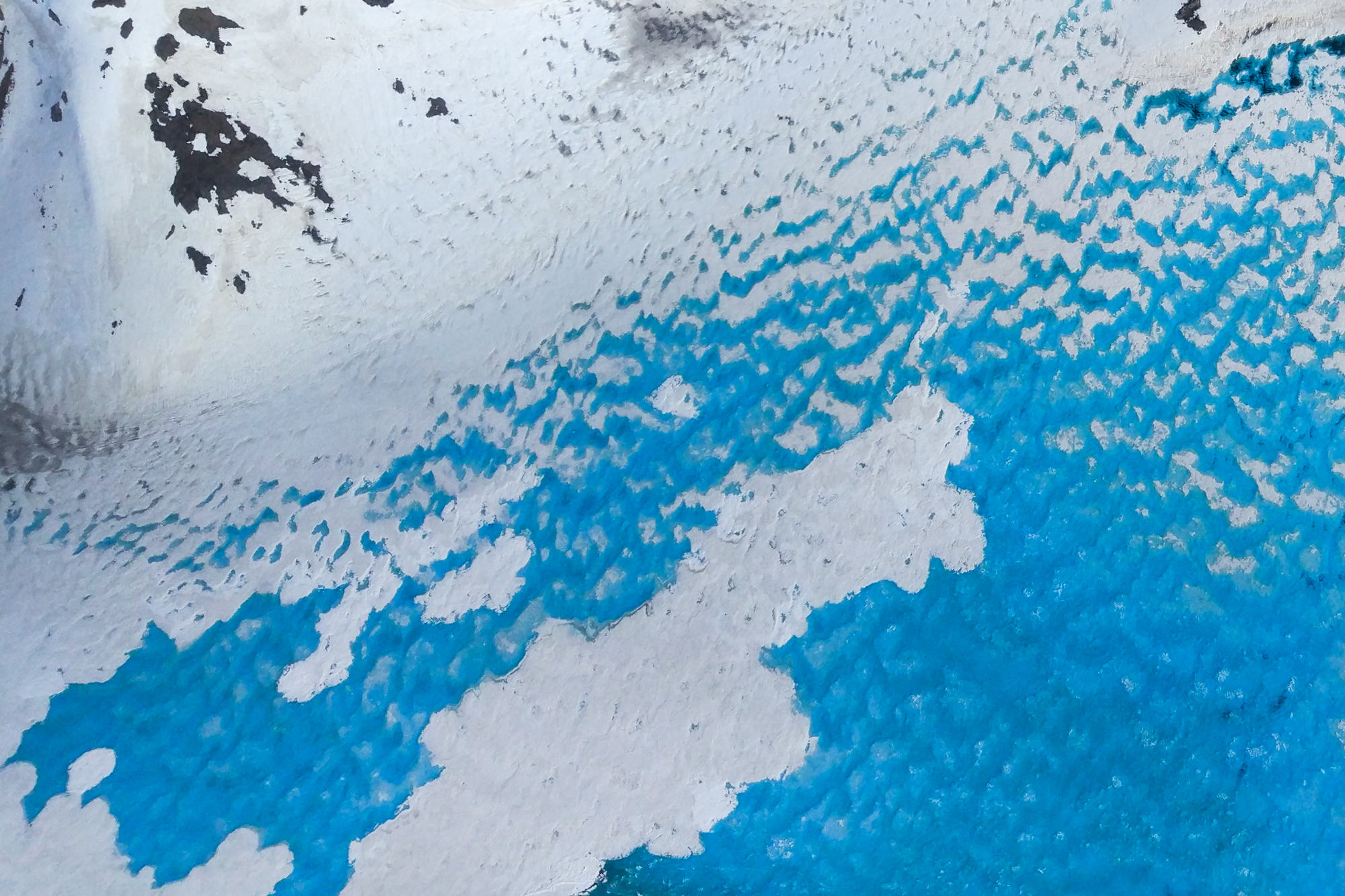 Glacier Expedition  - photo 5