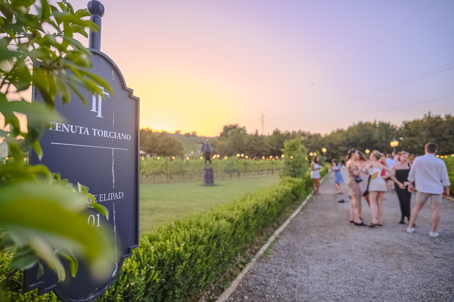 Small-Group Winery Tour with Tasting and Dinner in Chianti - Photo 18