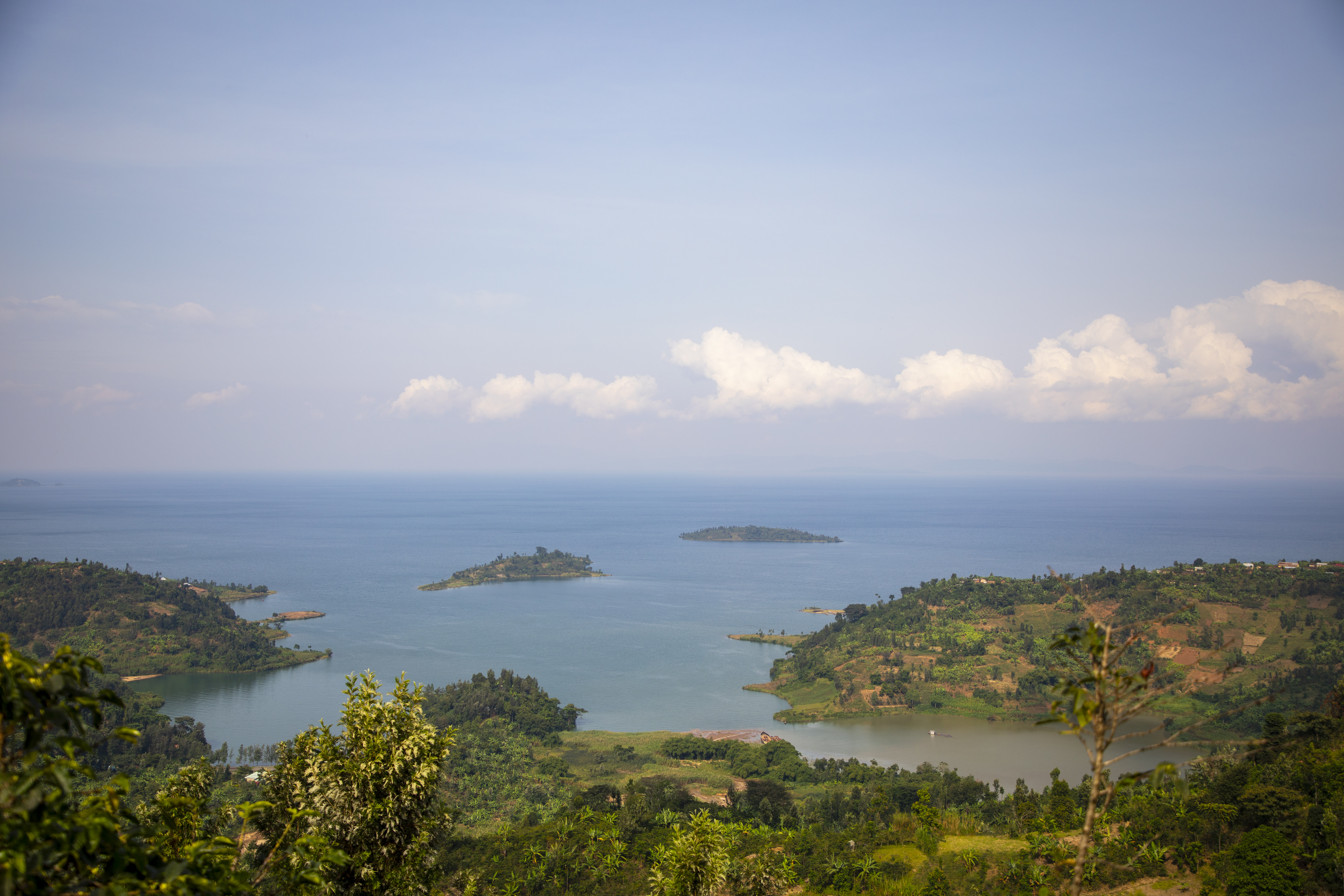 Lake Kivu Coffee Tour: From Crop to Cup – guests with guide