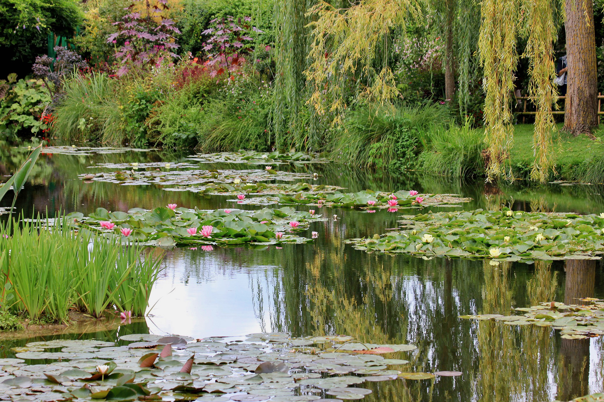 3-day Private D-Day, Giverny, Honfleur, Rouen, Mont Saint-Michel Trip by Minivan. - Photo 61