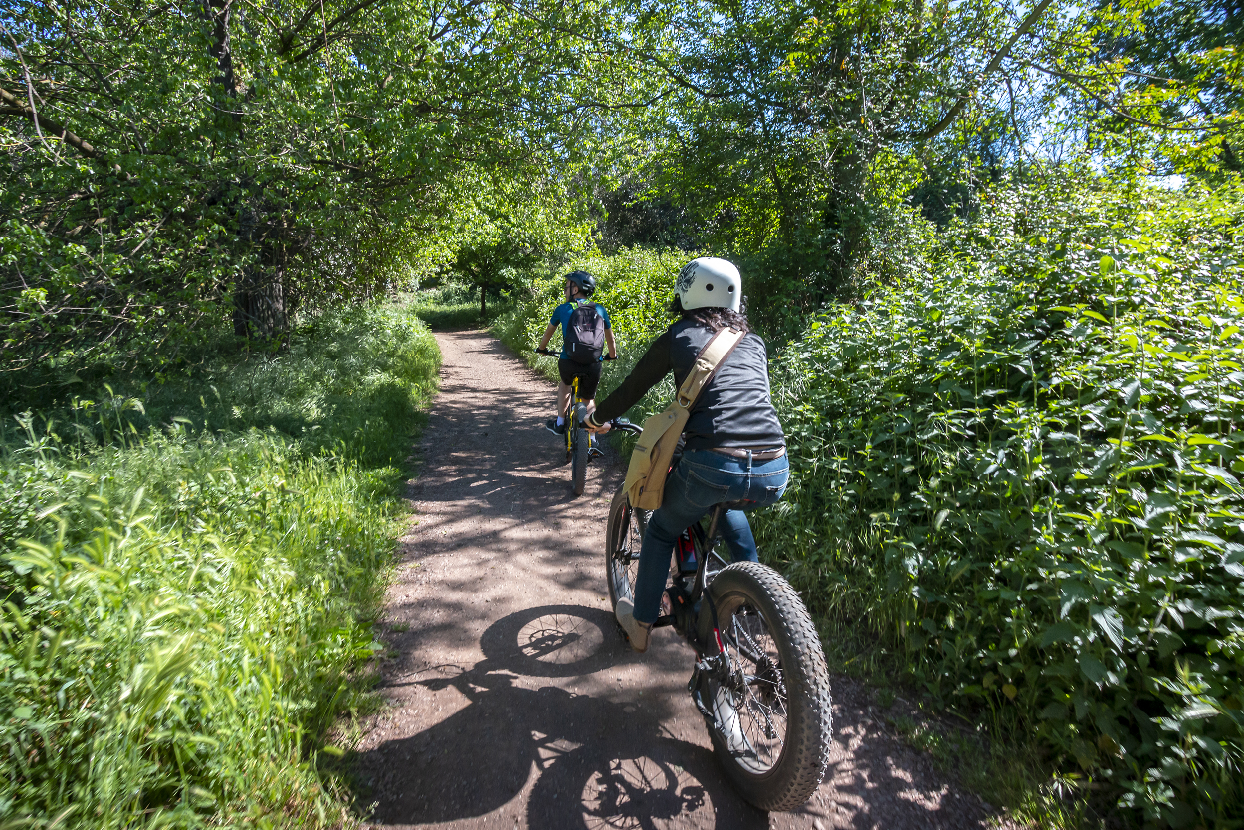Appian Way Bike Tour through Parks and History | Private Nature Experience - Photo 5