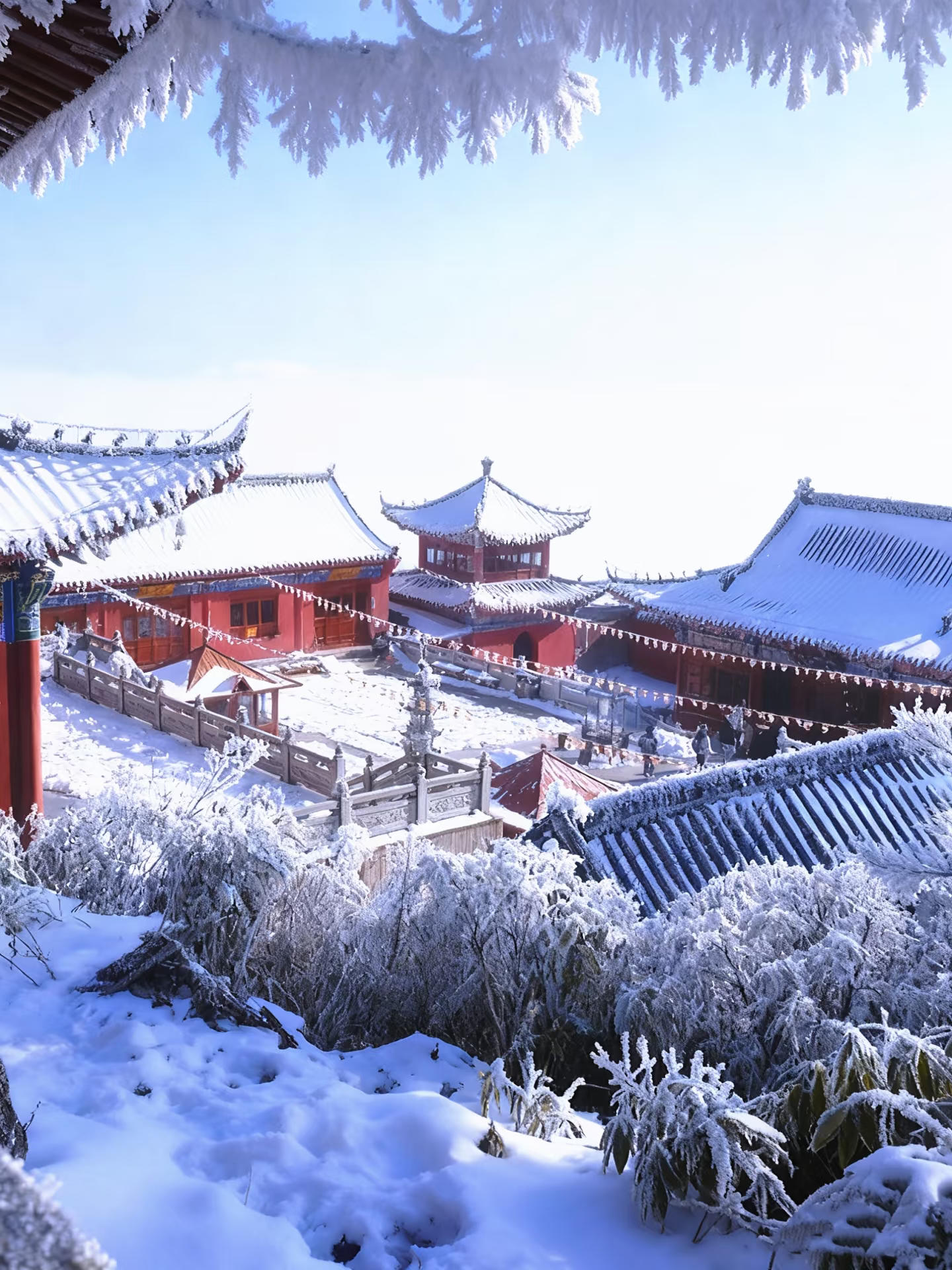 Fanjingshan East Gate Entry Ticket + Round Trip Shuttle