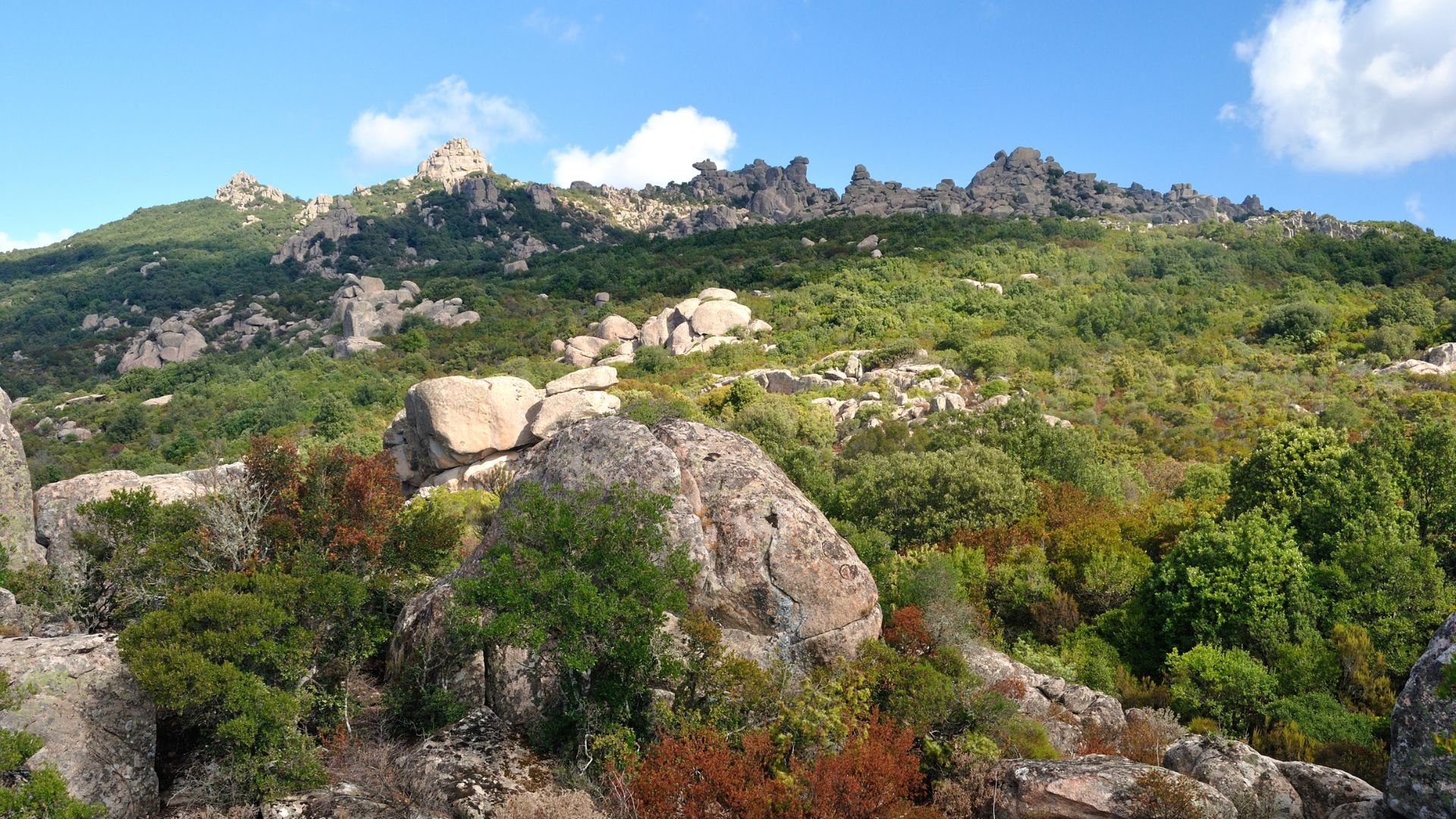 Castiadas: trekking in the S'Acqua Callenti forest - Photo 14