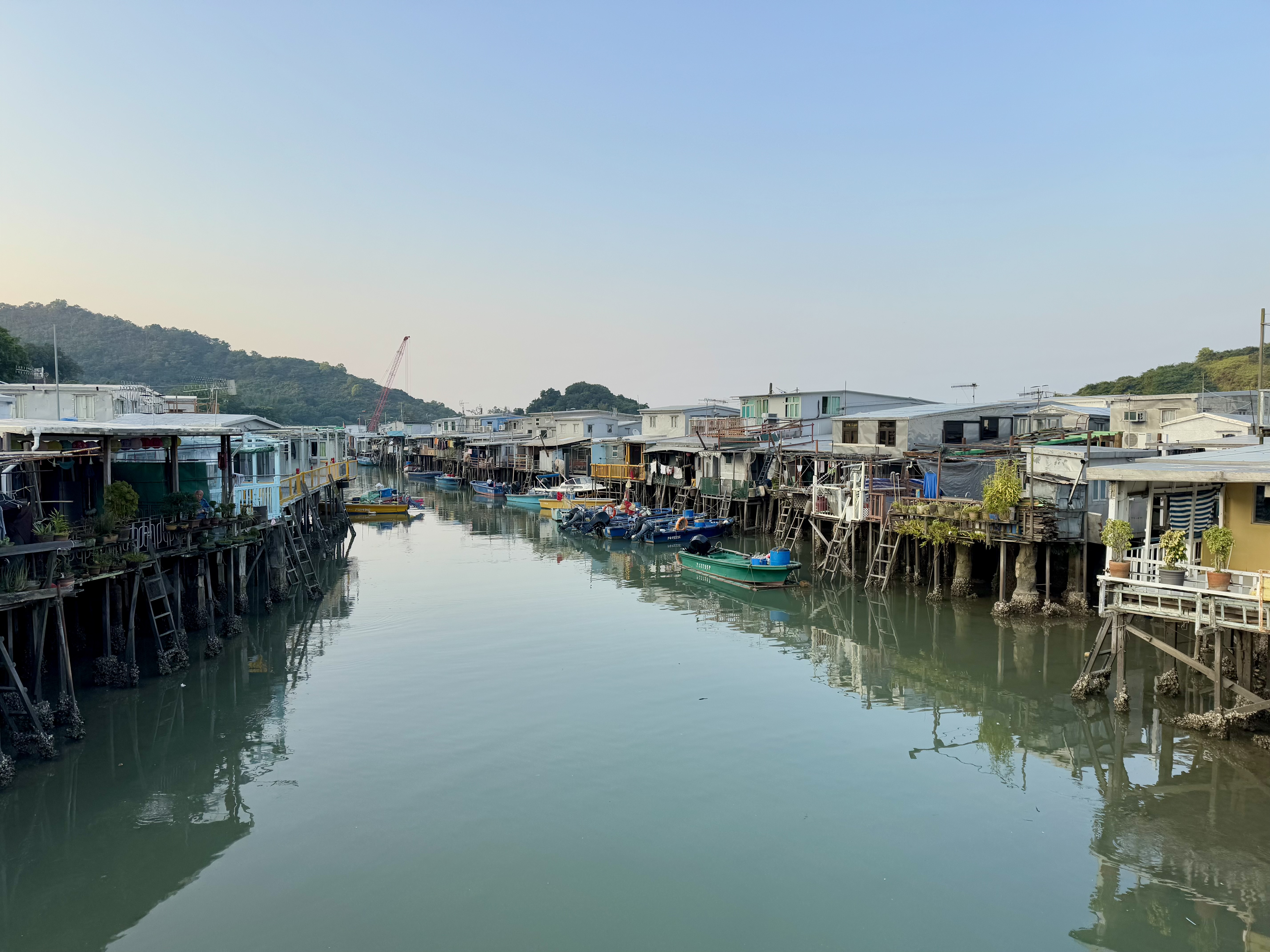 Cruise Layover Tour: Giant Buddha on Lantau Island in Private Service - Accommodations in Hong Kong