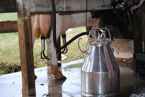 Farm Tour in Sorrento with tasting - Photo 8